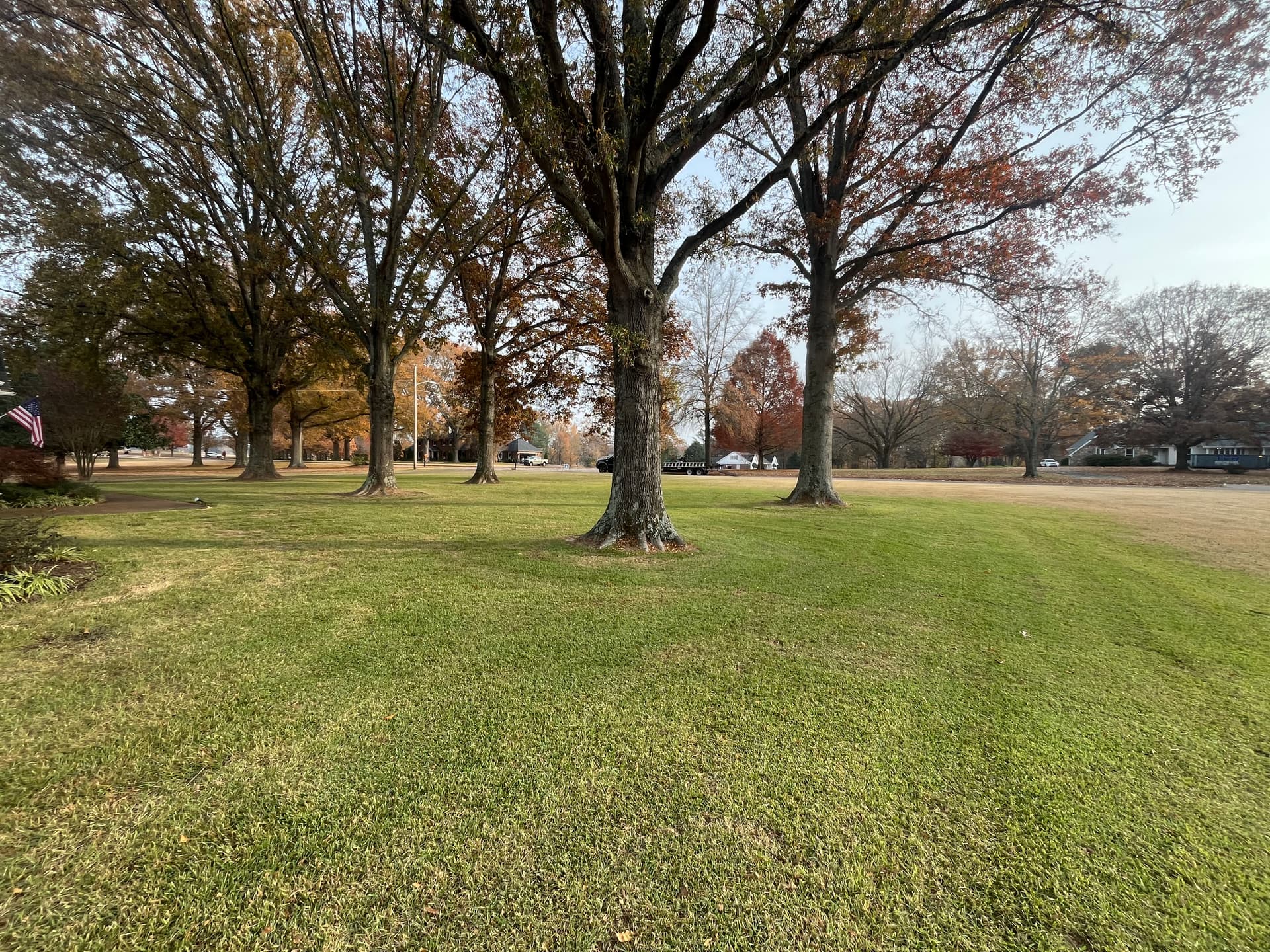 Comprehensive Fall Cleanup for a Leaf-Free Yard