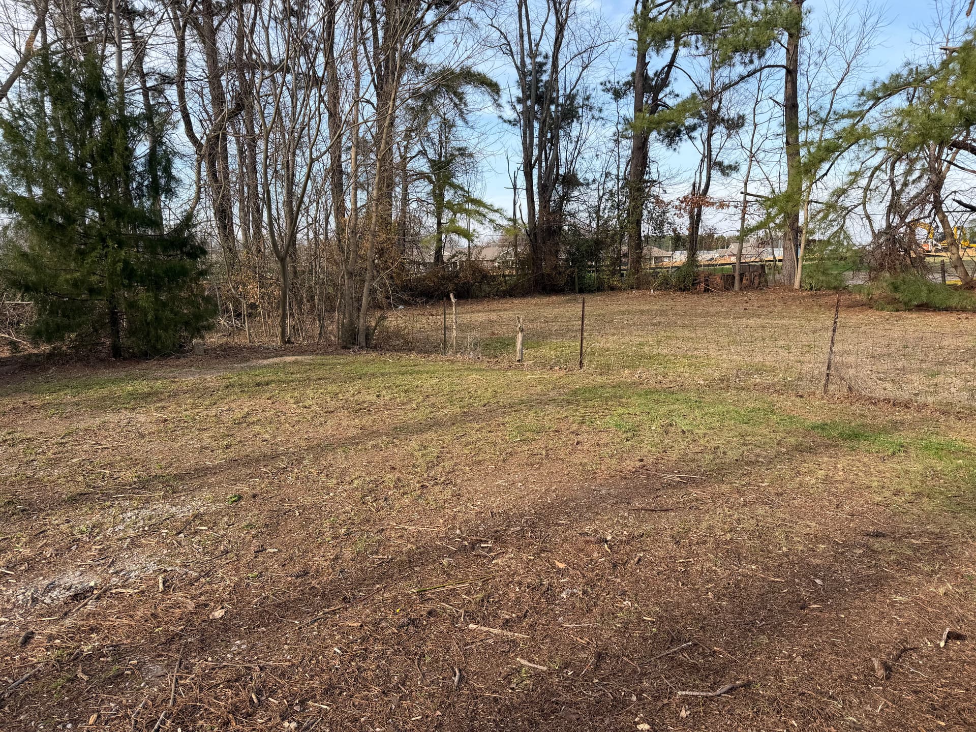 Gallery photos for Comprehensive Cleanup at Dr. Melton Family Dentistry: Image #7