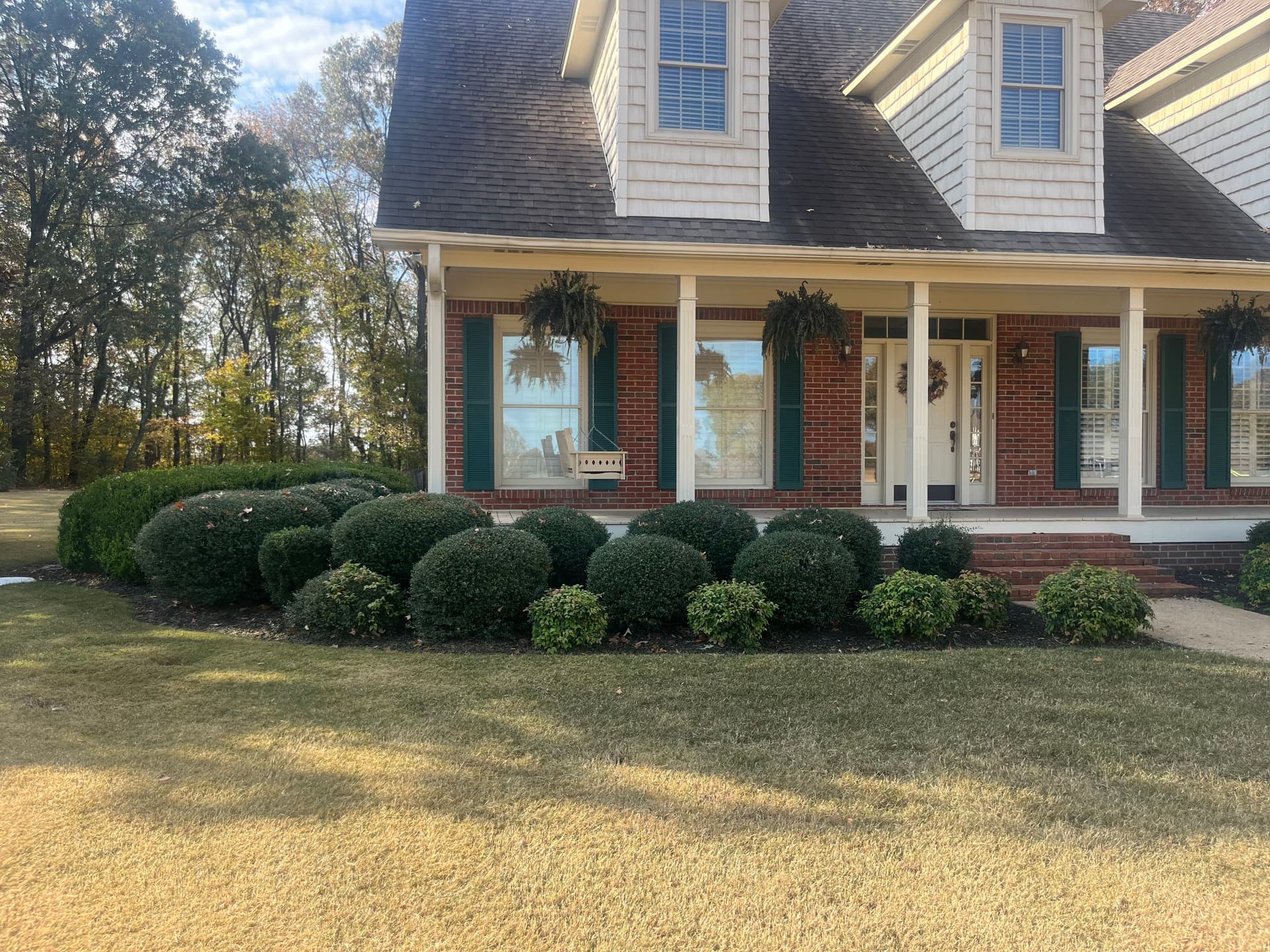Revamping Curb Appeal with Expert Trimming and Landscape Design