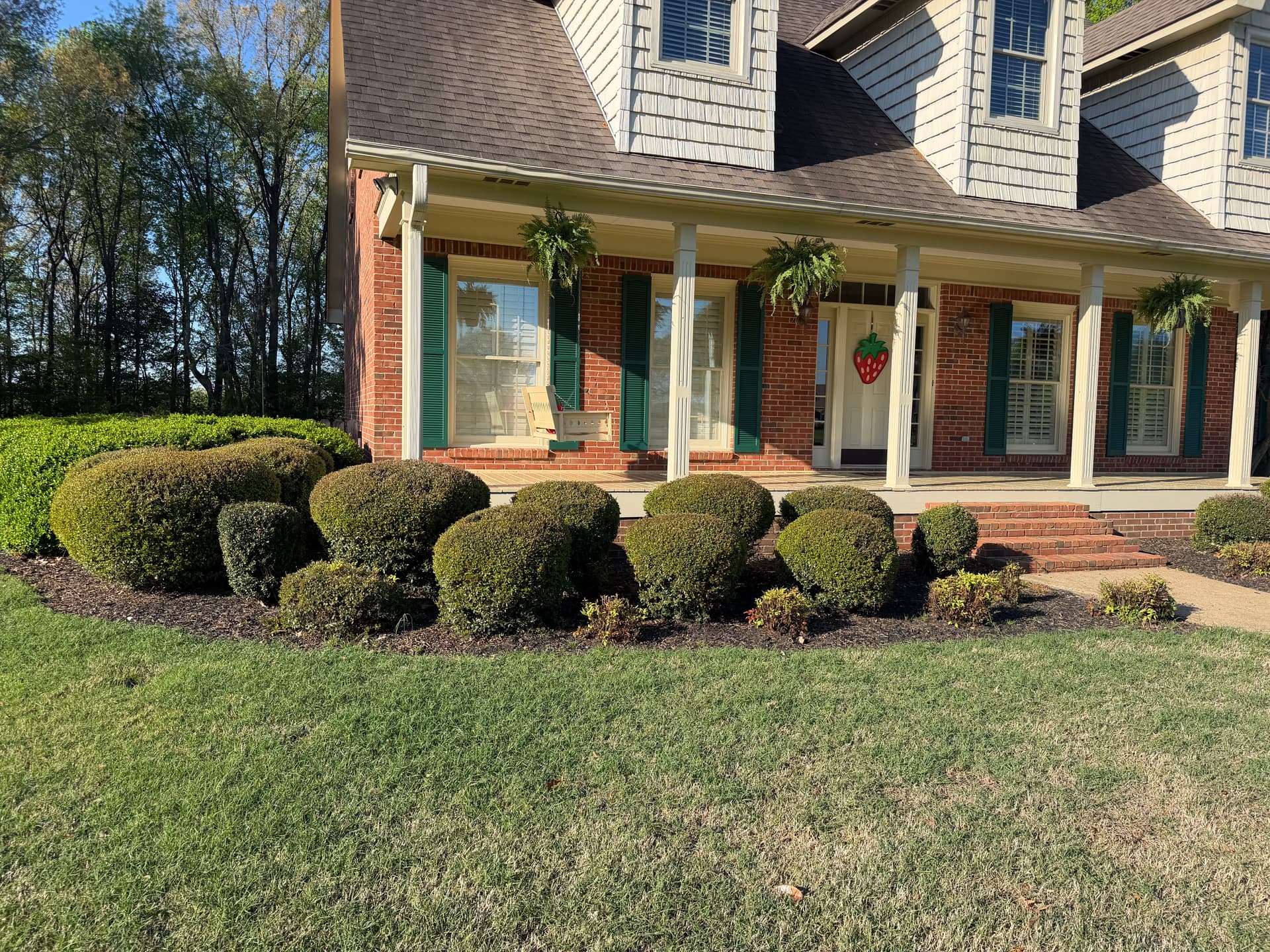 Gallery photos for Fresh Black Mulch Install That Ties the Whole Yard Together: Image #2