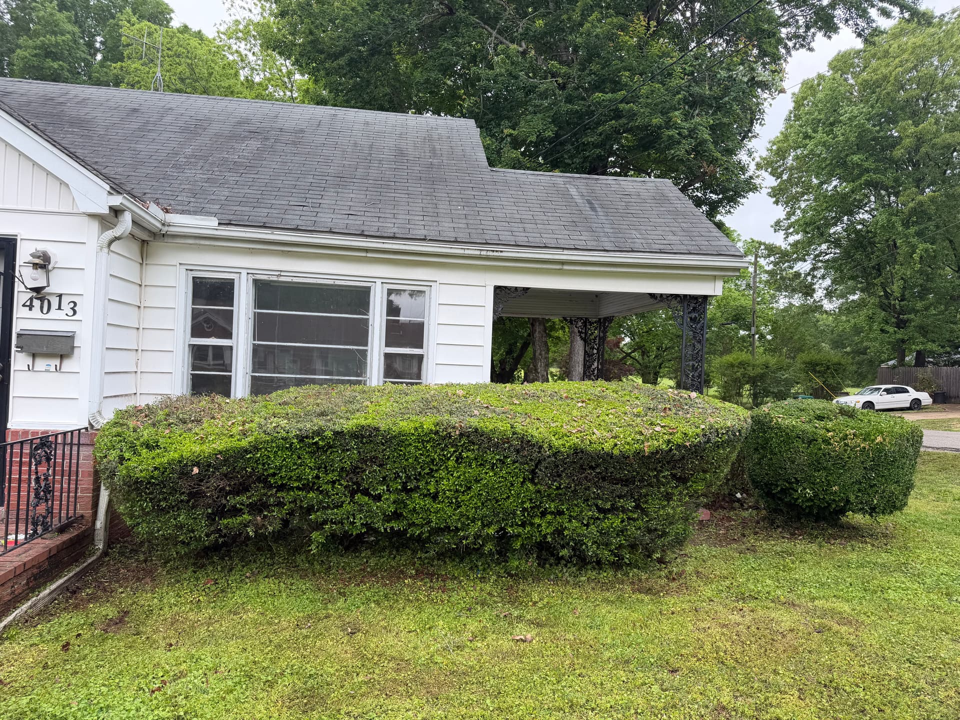 Gallery photos for Rental Property Landscape Cleanup in Milan: Image #4