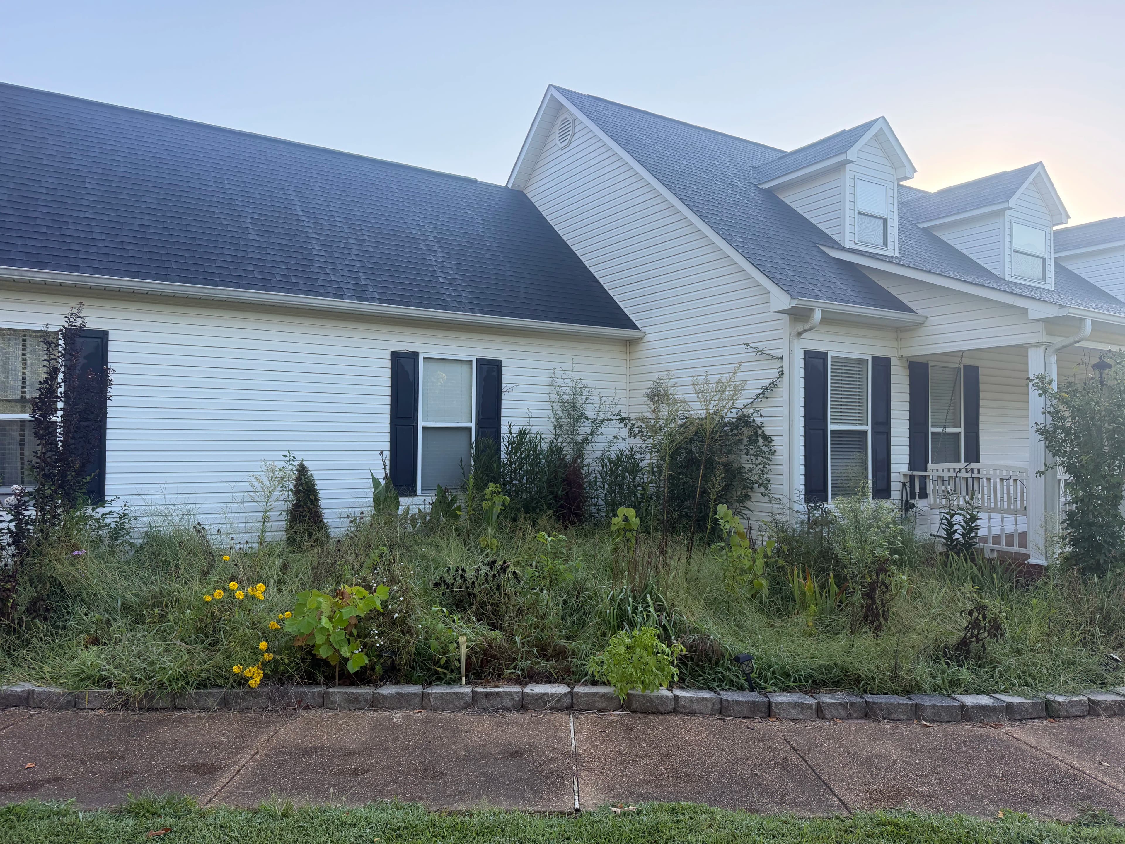 Project Overgrown Flowerbeds Cleaned Out and Ready for a Fresh Design image