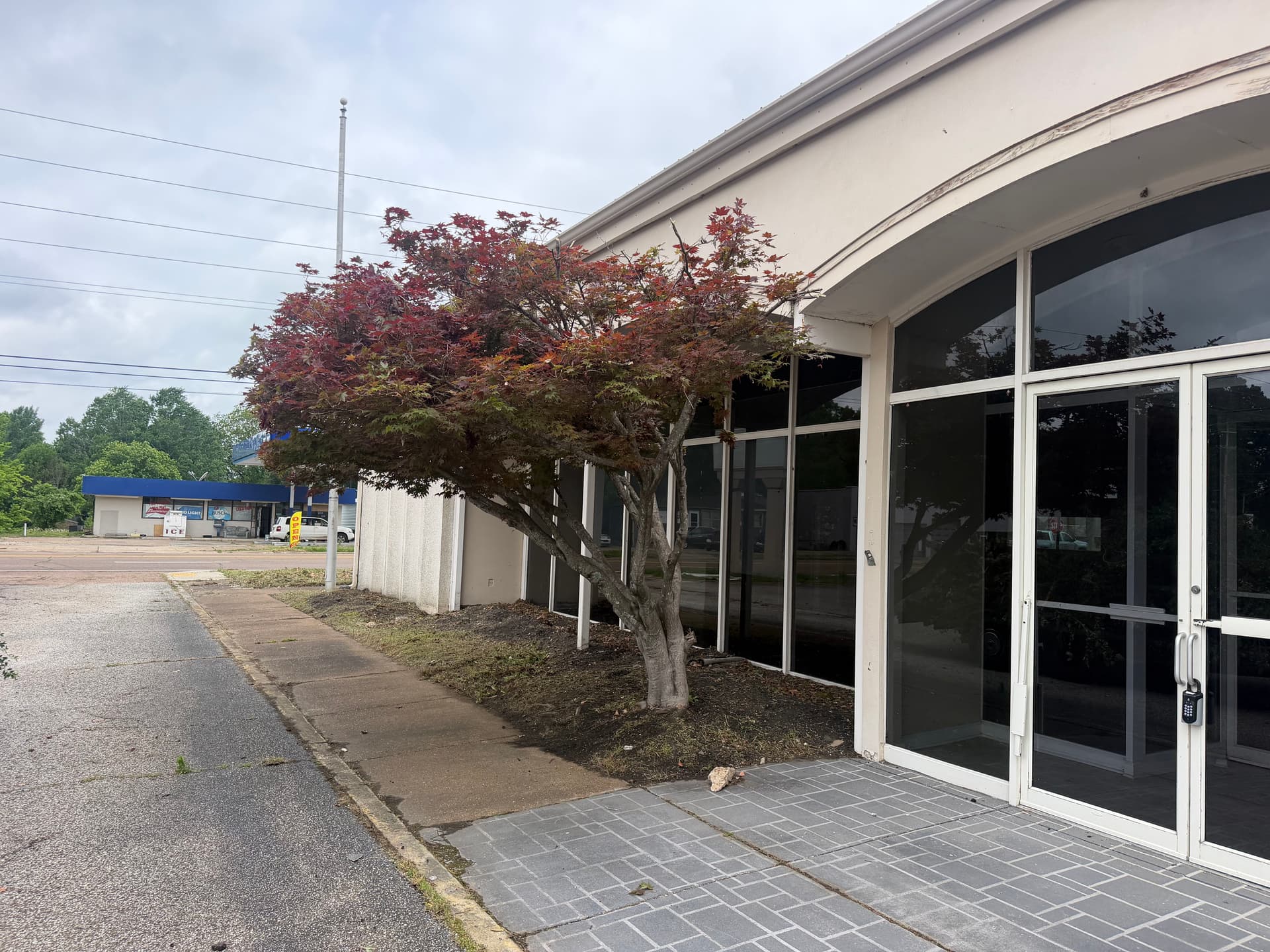 Gallery photos for Vacant Bank Gets a Full Landscape Cleanup in Humboldt: Image #5