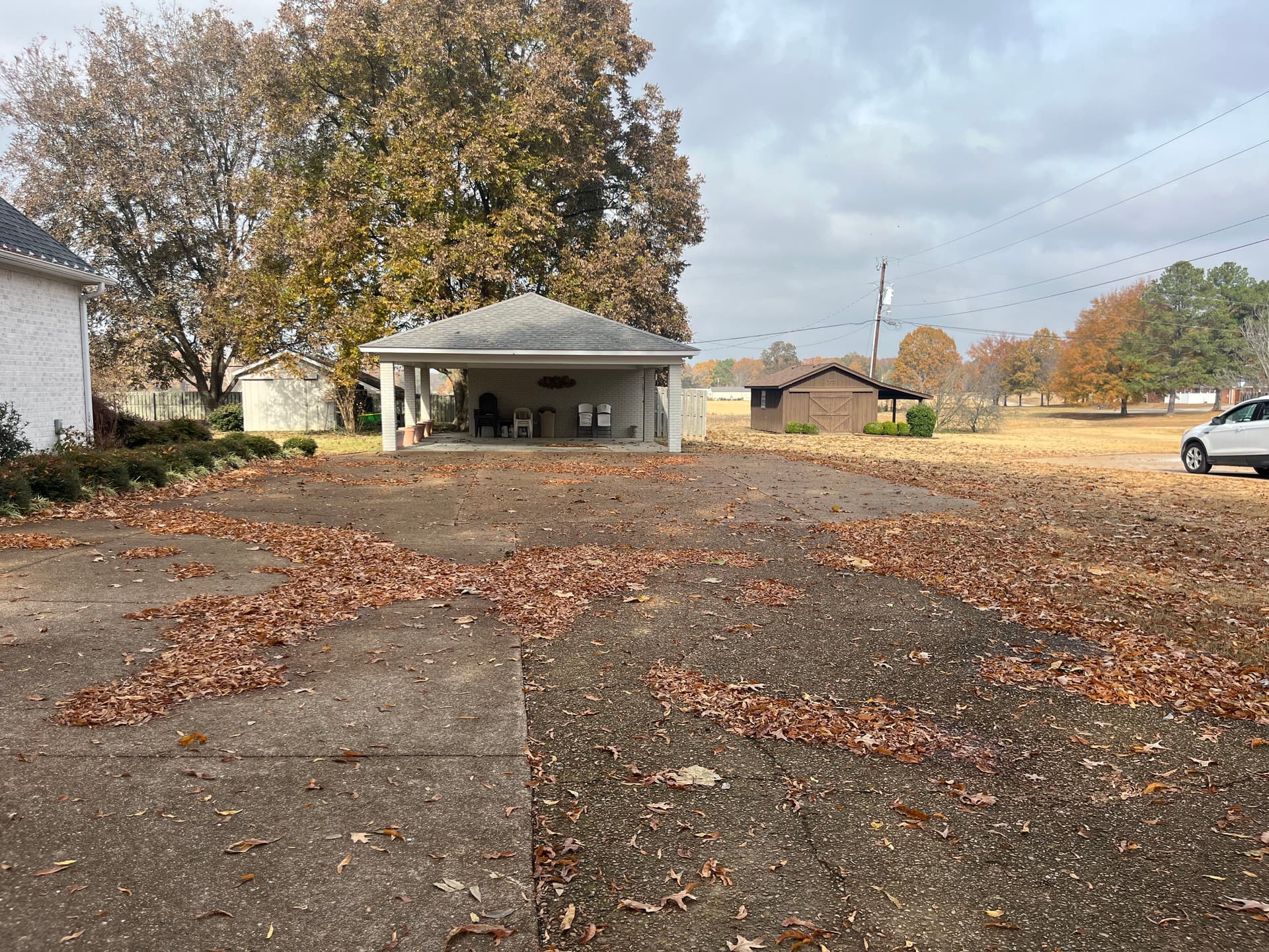 Comprehensive Fall Cleanup for a Leaf-Free Yard