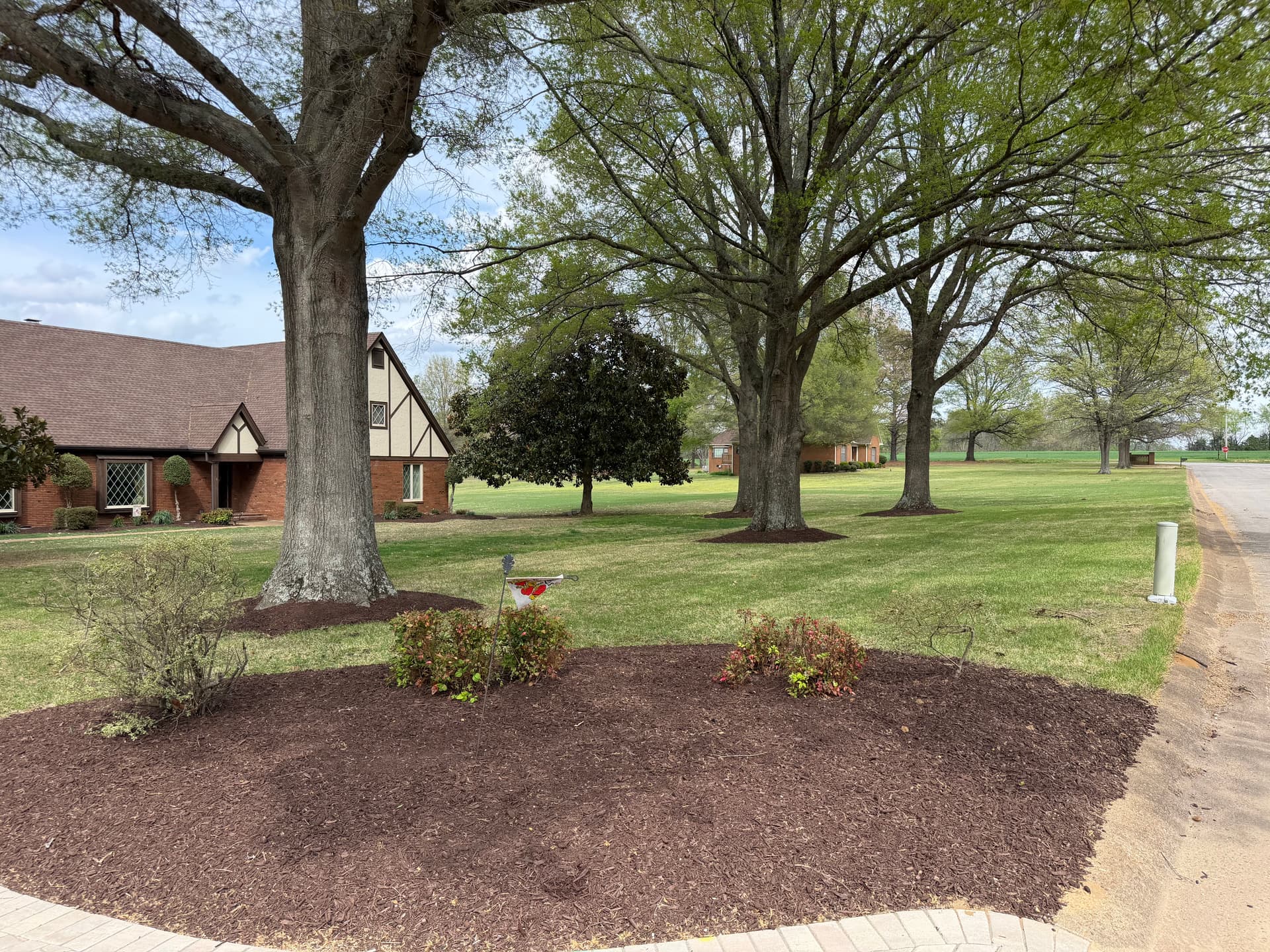 Gallery photos for Old Bushes Out, Hydrangeas In - Full Bed Refresh Done Right: Image #6
