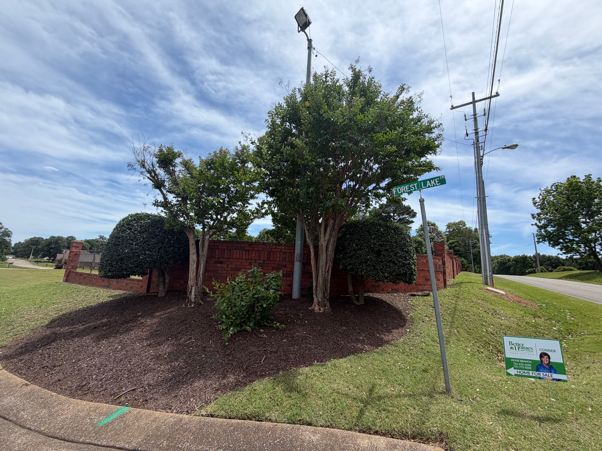 Gallery photos for Shrub Trimming and Landscape Cleanup at Forest Lake Subdivision in Humboldt: Image #2