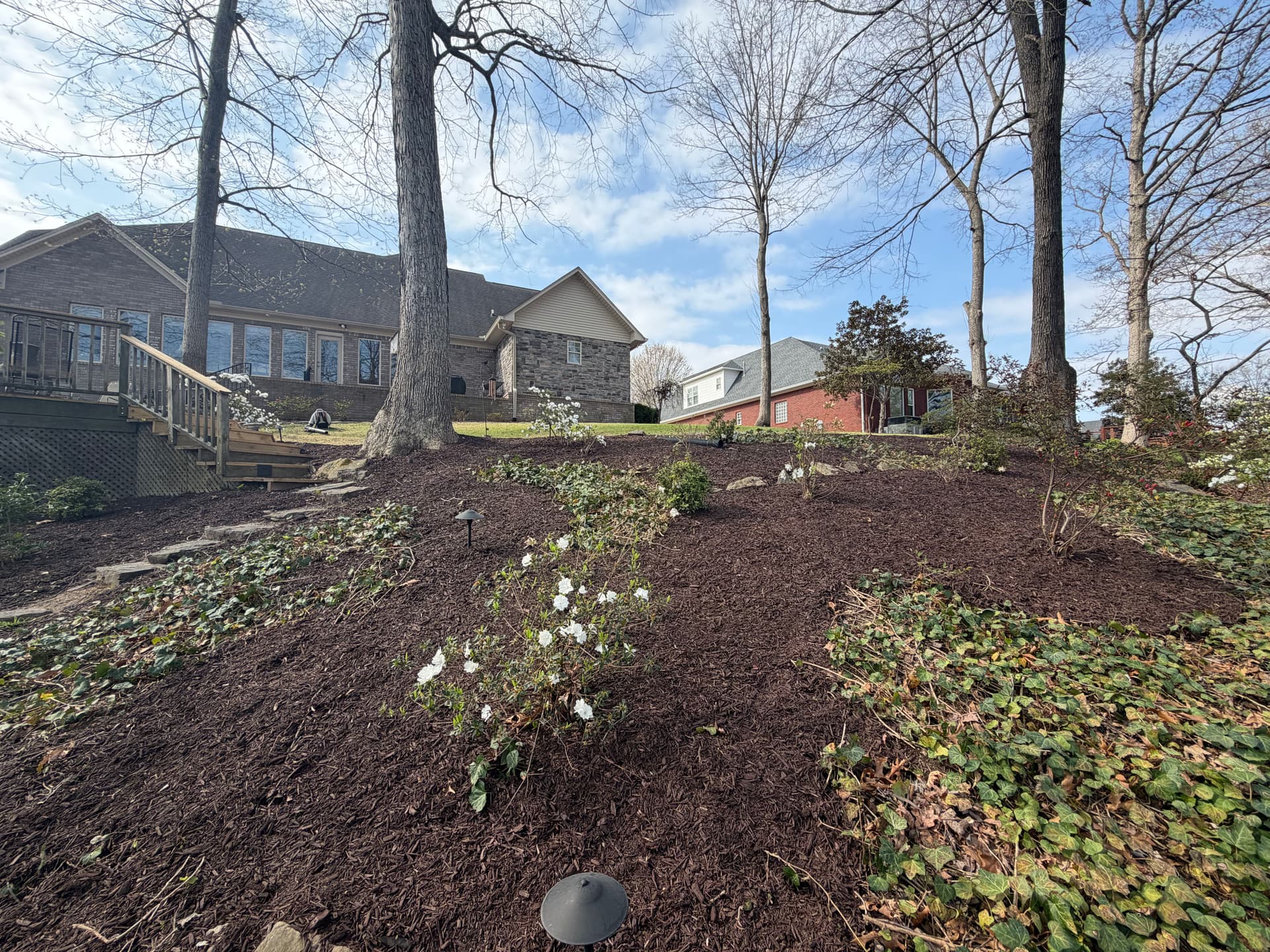 Gallery photos for Backyard Makeover at Forest Lake: Image #6