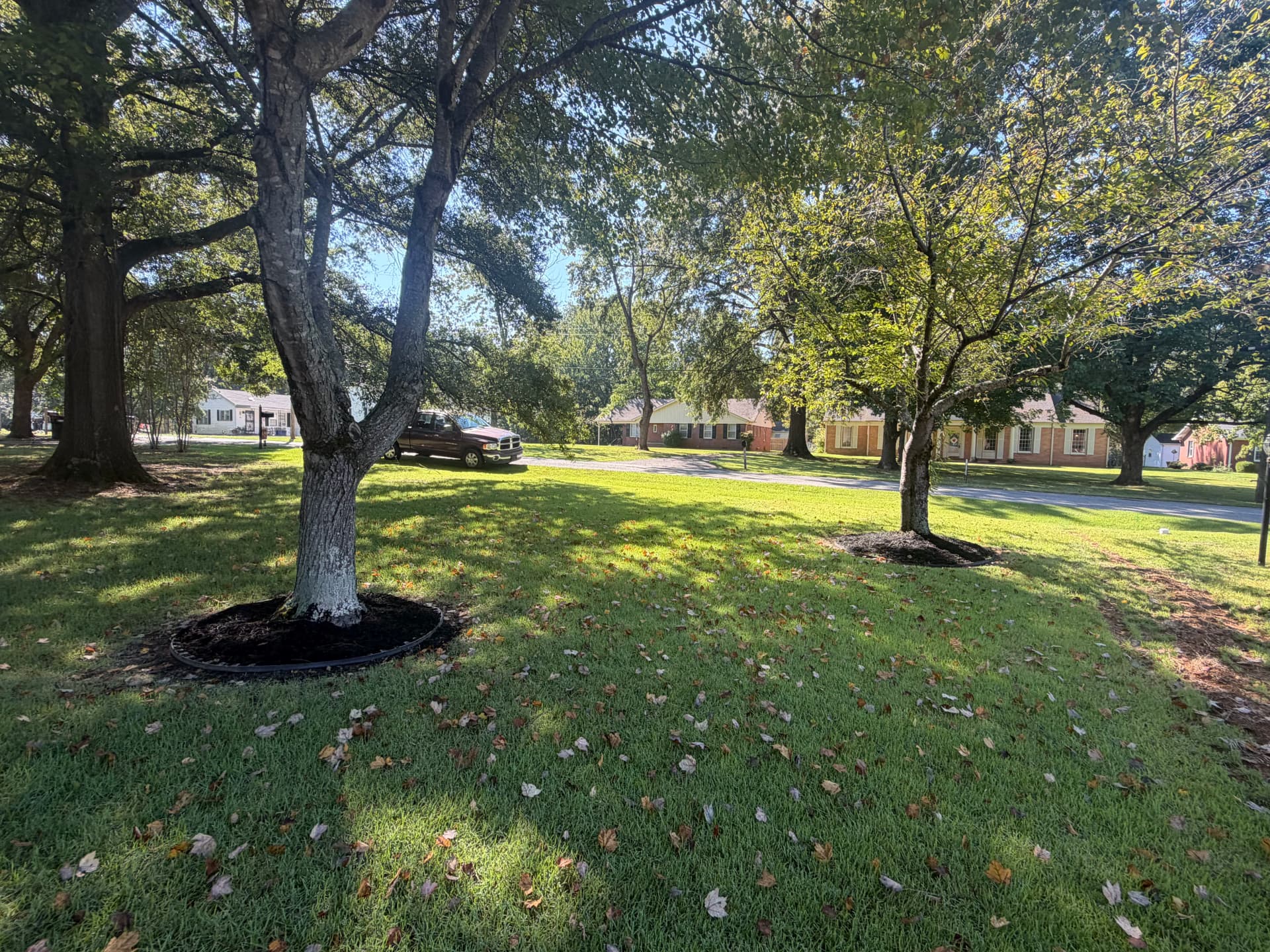 Gallery photos for Black Mulch and Bed Cleanups That Actually Change the Look: Image #4