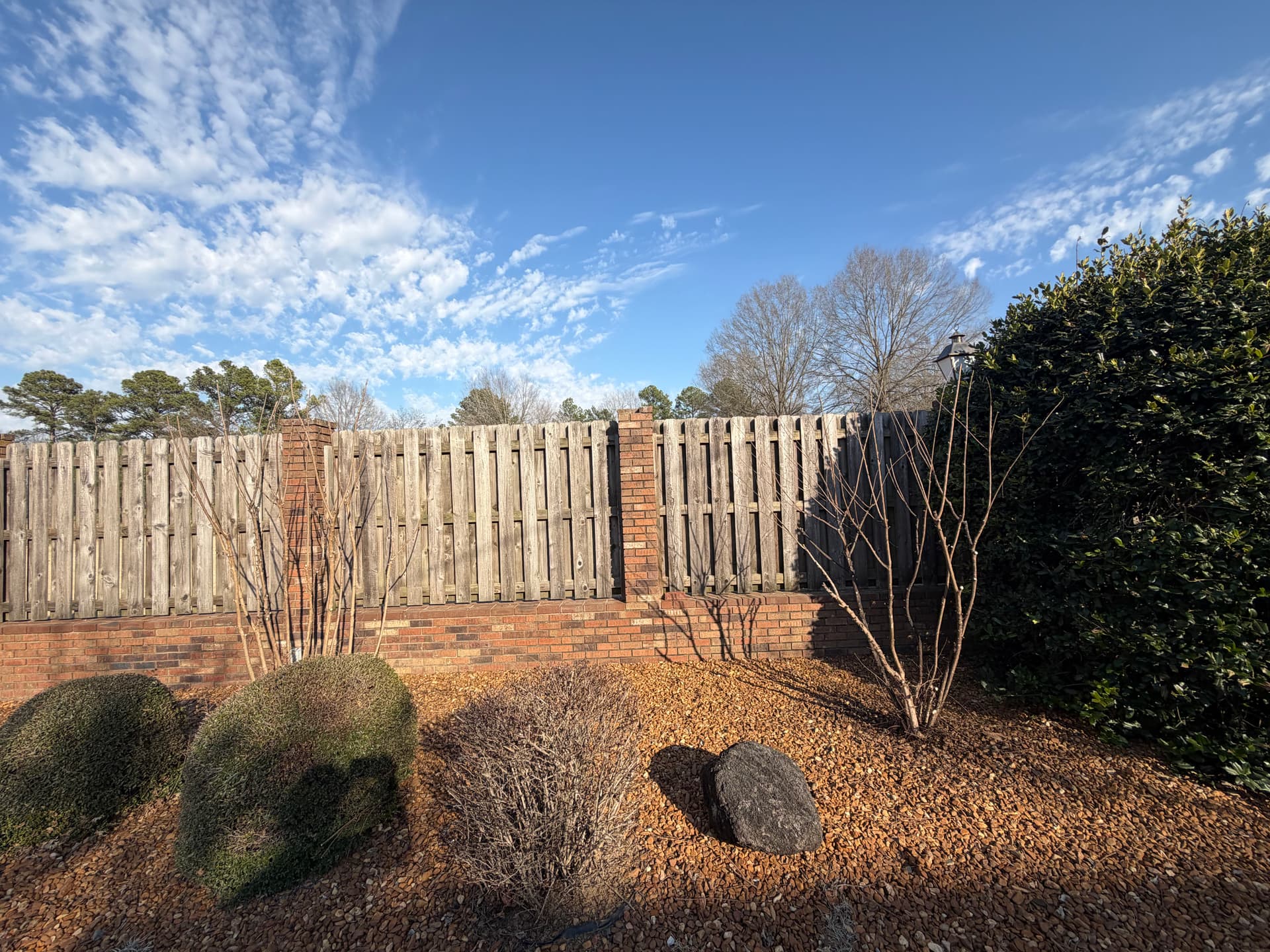 Gallery photos for Precision Crepe Myrtle Trimming for a Pristine Look: Image #5