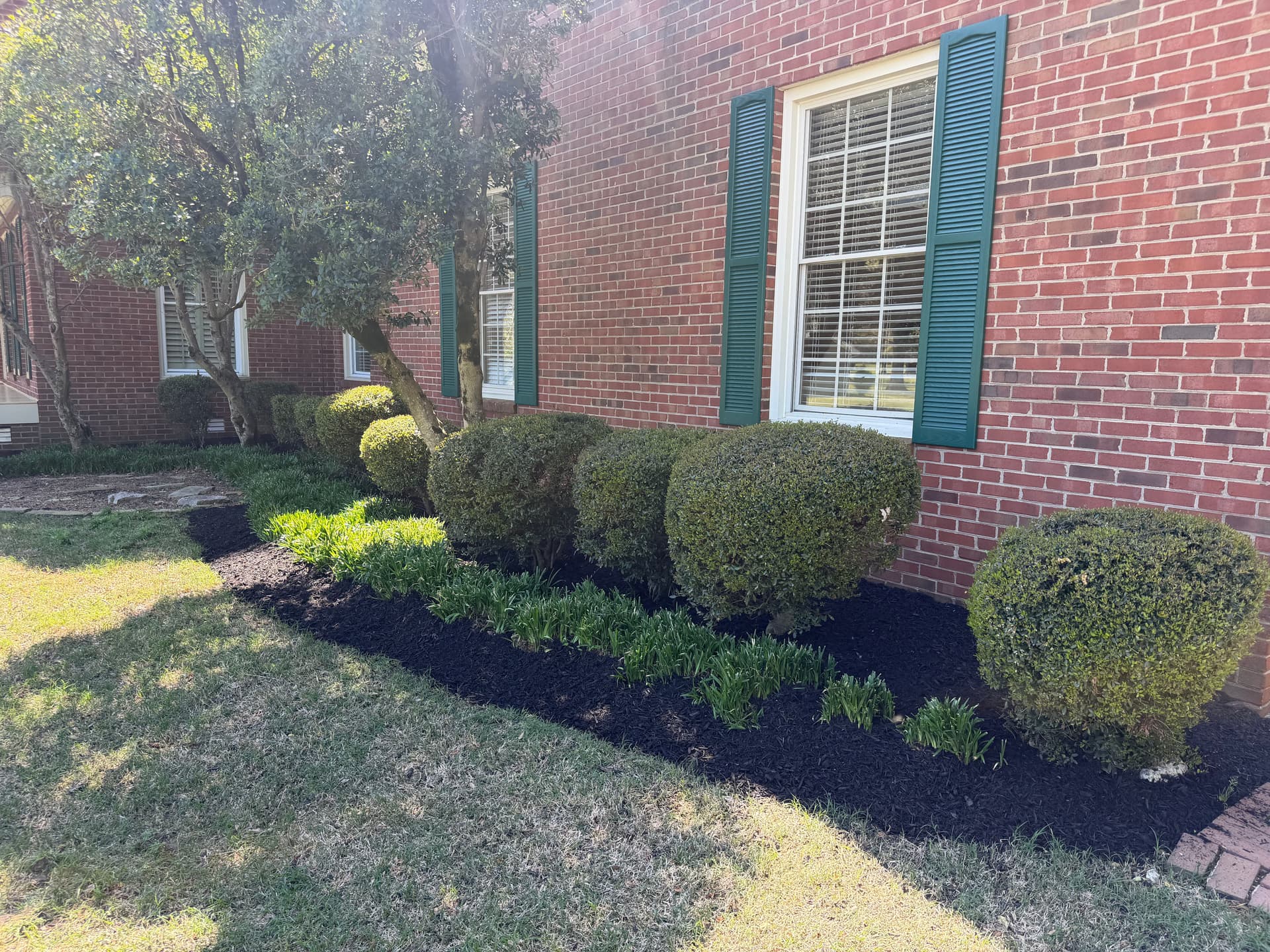 Gallery photos for Fresh Black Mulch Install That Ties the Whole Yard Together: Image #1