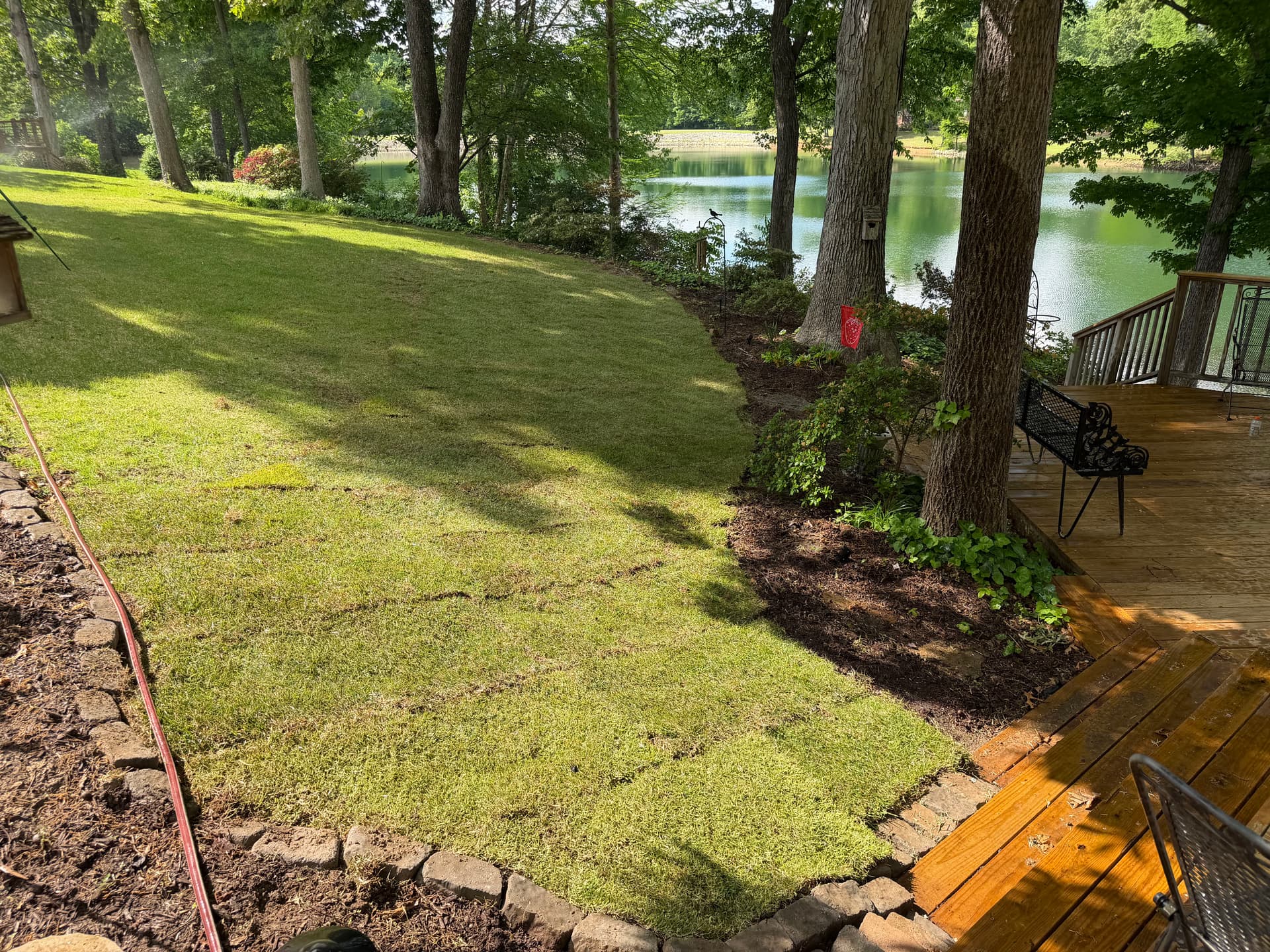 Gallery photos for Bare Ground to Green Backyard with Palisade Zoysia Sod: Image #2