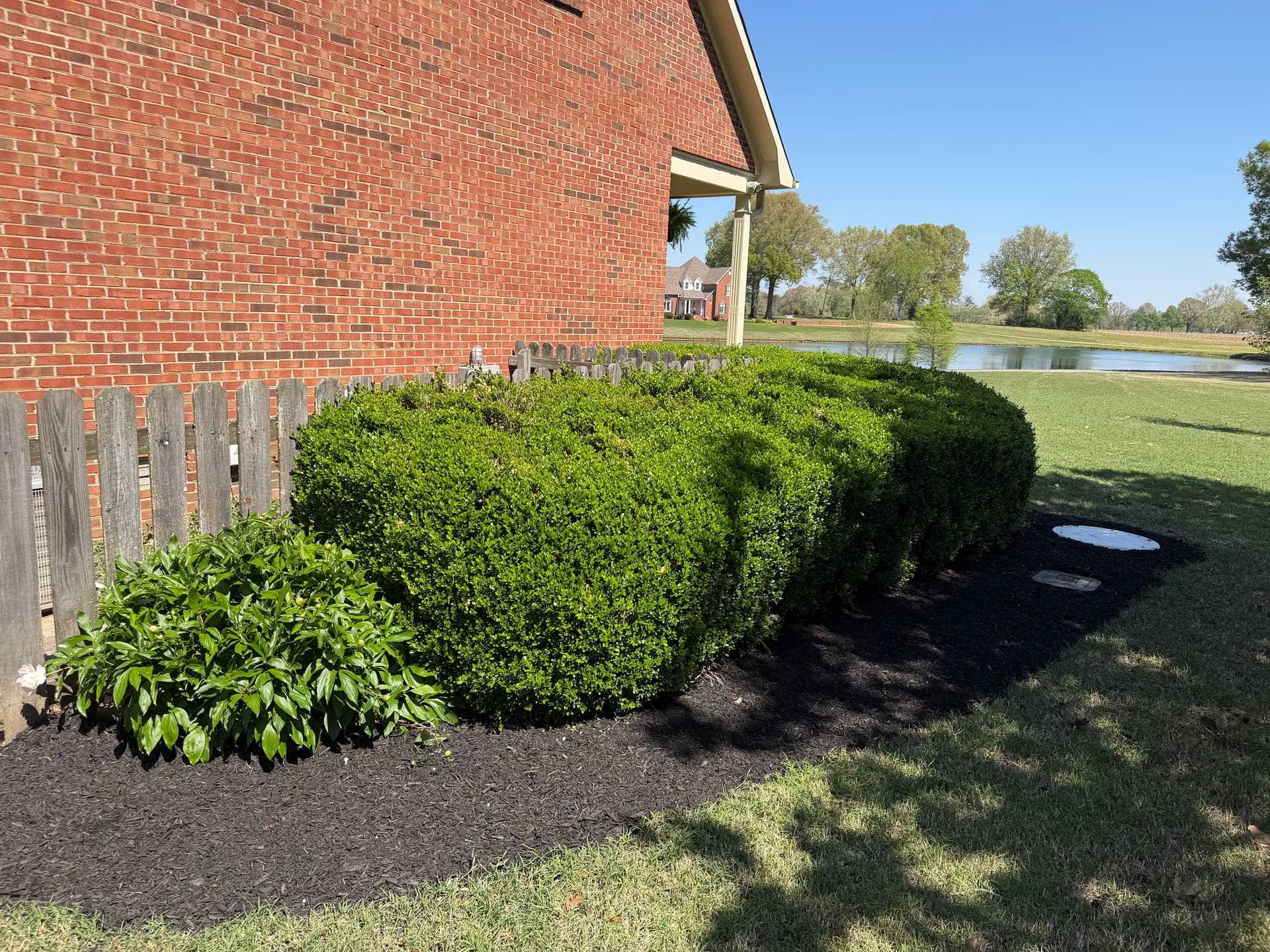 Gallery photos for Fresh Black Mulch Install That Ties the Whole Yard Together: Image #4