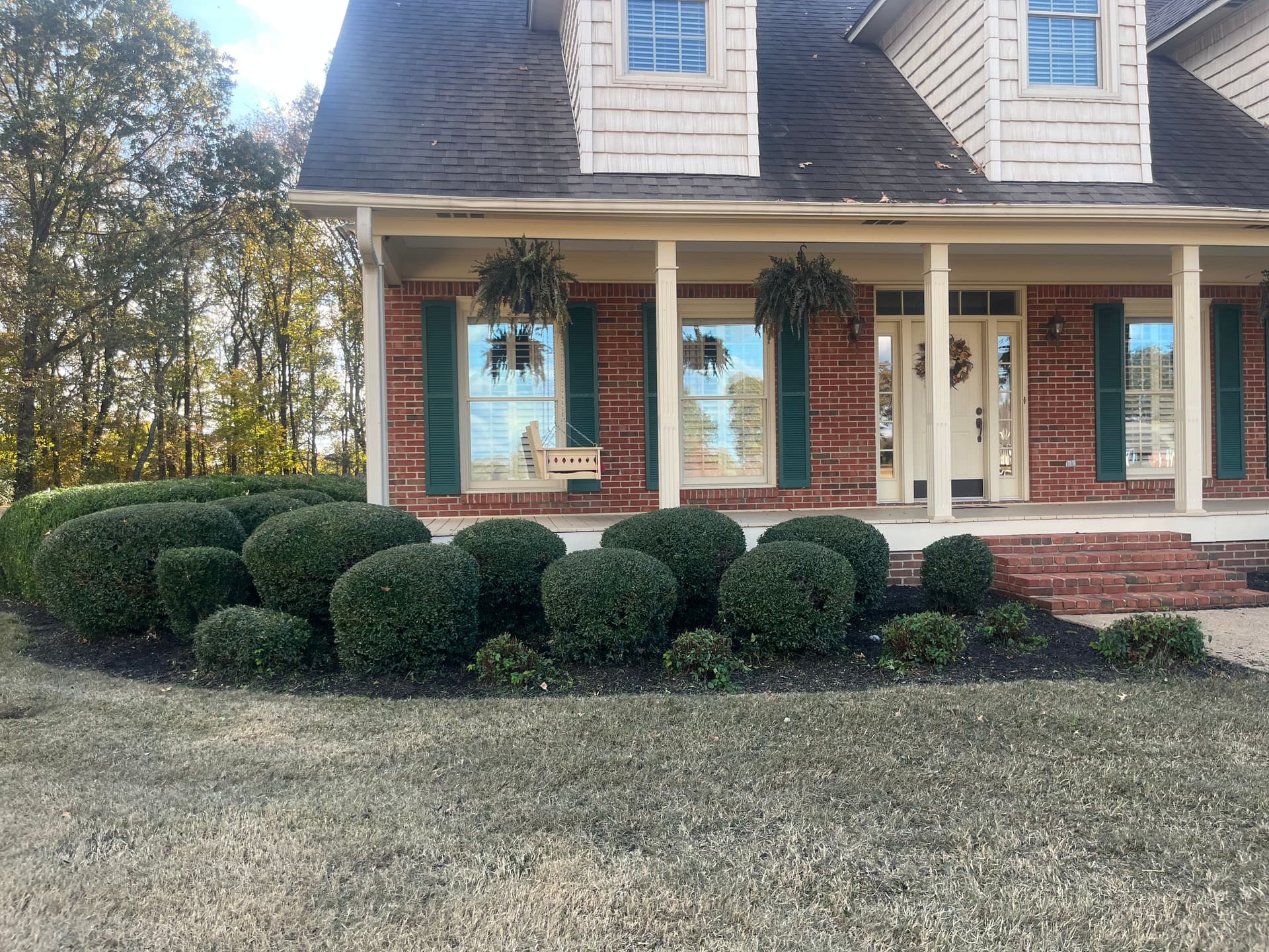 Revamping Curb Appeal with Expert Trimming and Landscape Design