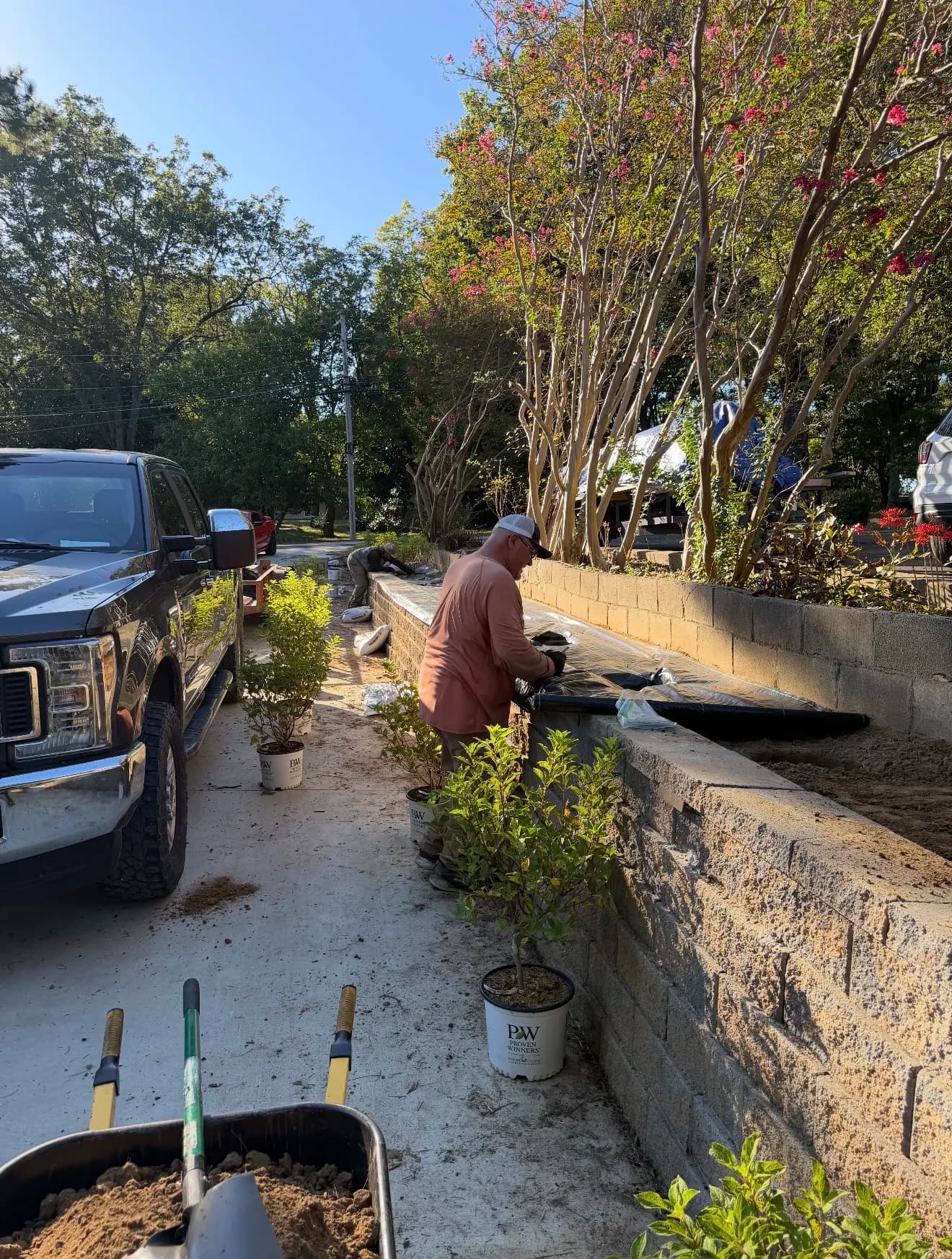 Gallery photos for Hydrangeas, Fresh Mulch, and Retaining Wall Lights in Friendship: Image #5