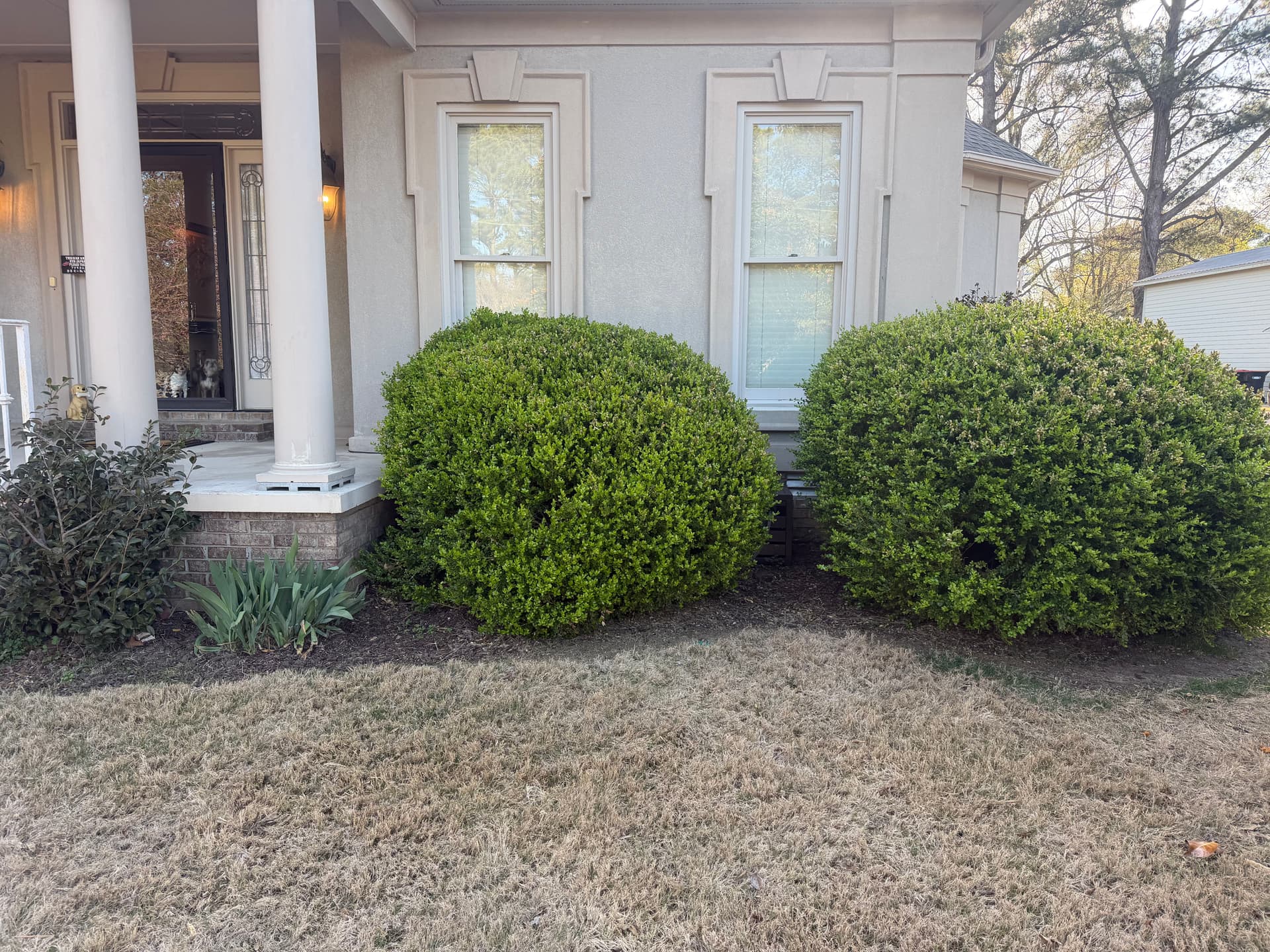 Gallery photos for Landscape Clean Up with Mulch Installation in Humboldt: Image #4