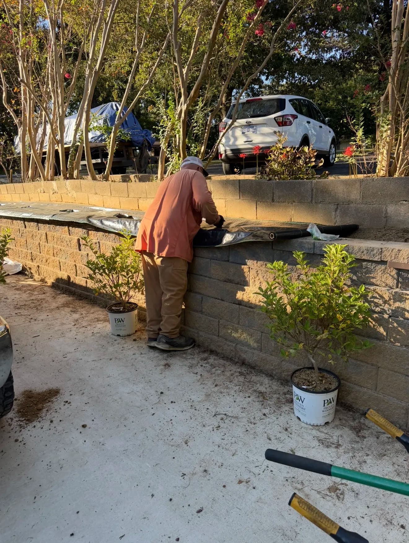 Gallery photos for Hydrangeas, Fresh Mulch, and Retaining Wall Lights in Friendship: Image #4
