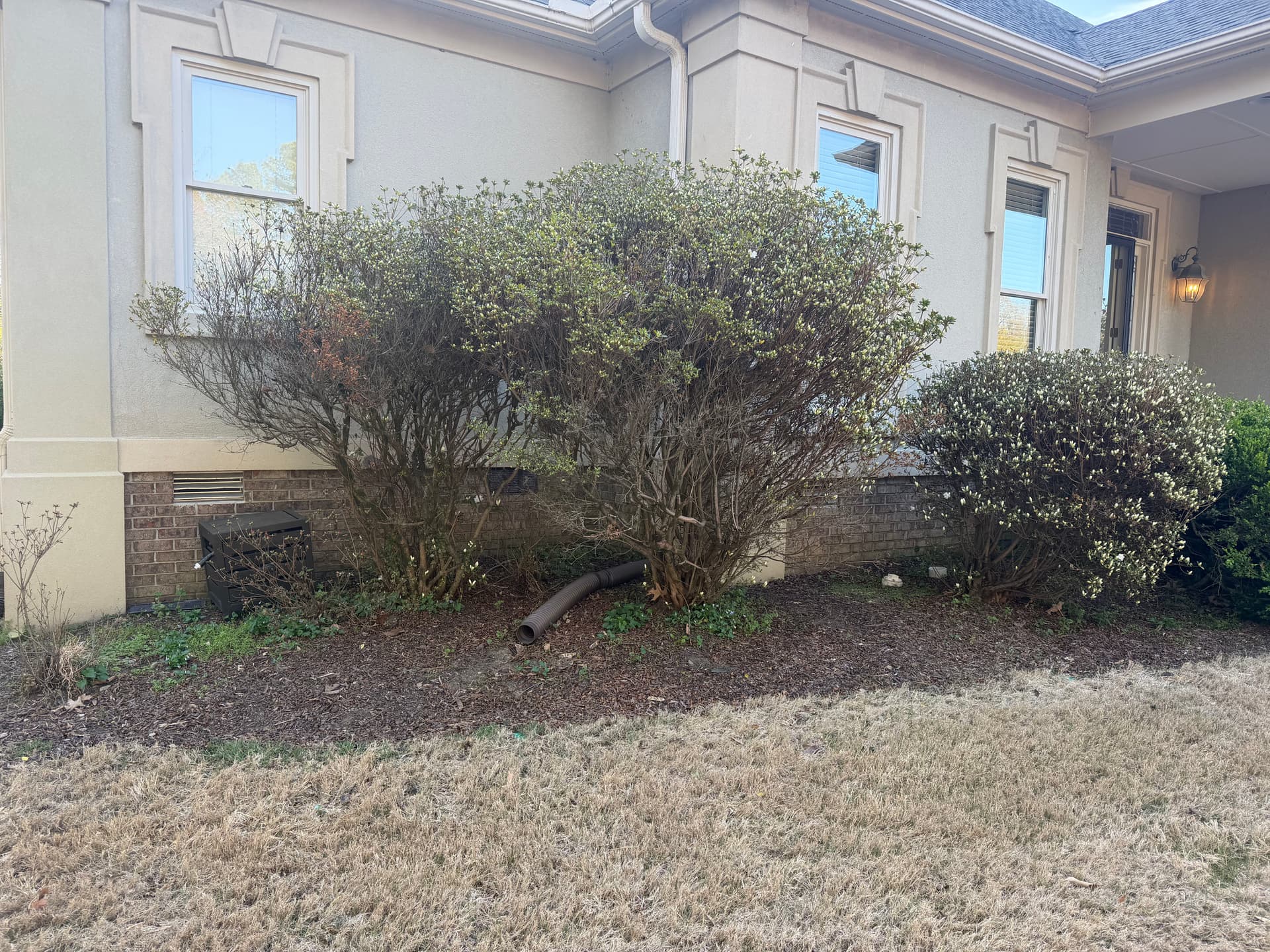 Landscape Clean Up with Mulch Installation in Humboldt image