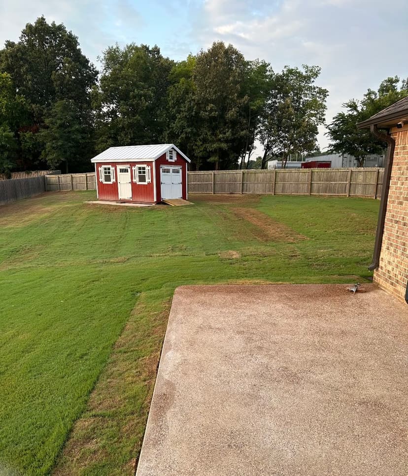 Red shed in backyard with green lawn and fence, surrounded by trees under a blue sky.