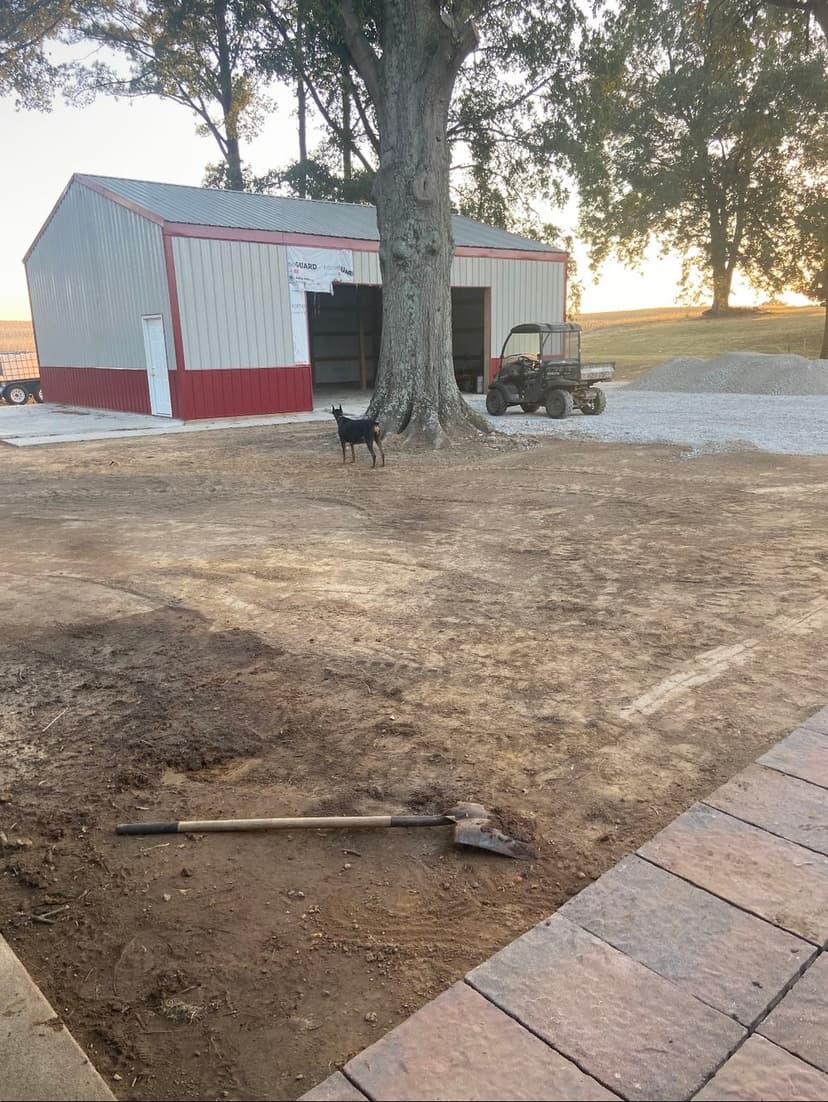 Black dog stands near a shed on a gravel-covered yard during sunset. Shovel in foreground.