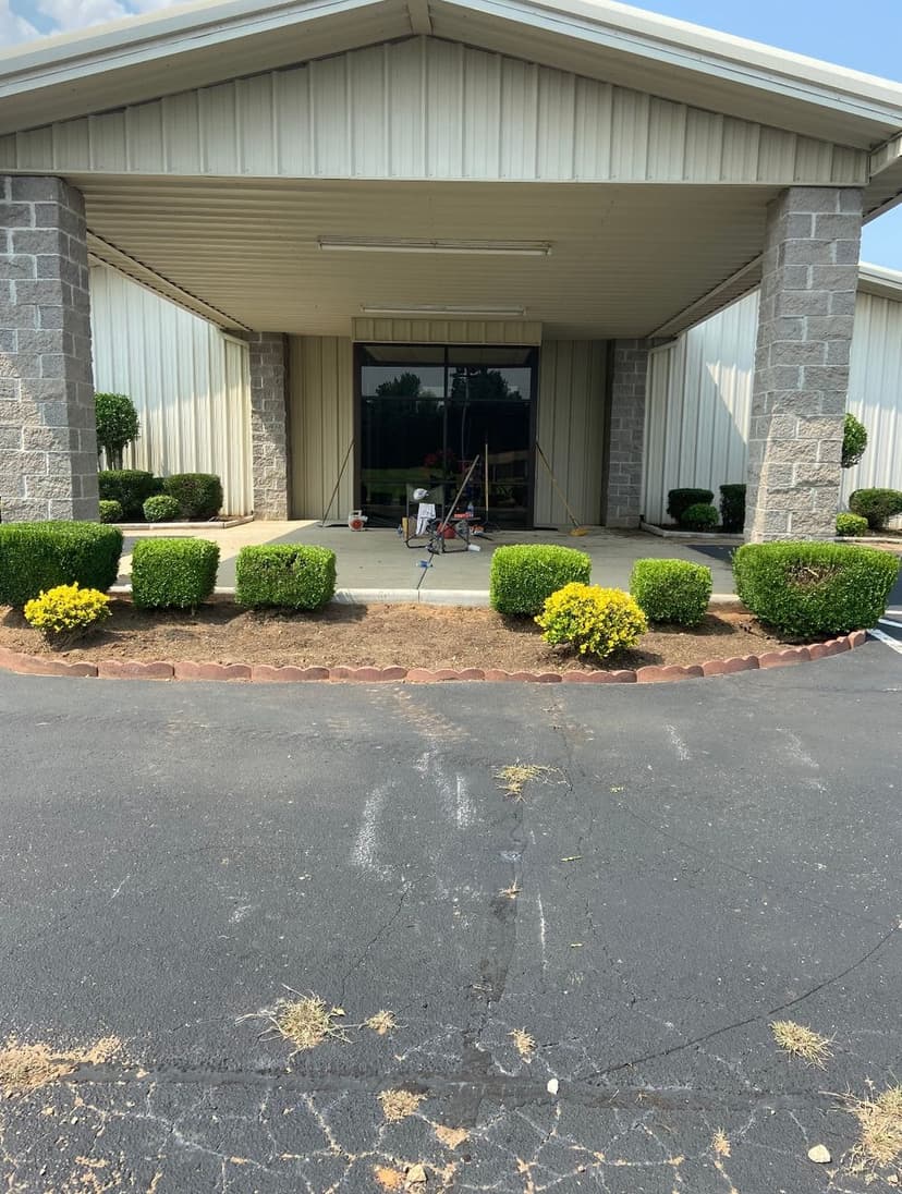 Front entrance of a commercial building with manicured shrubs and paving.