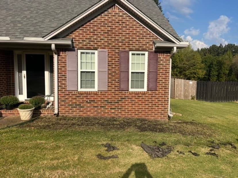 Brick house exterior with purple shutters, lawn, and wooden fence in the background.