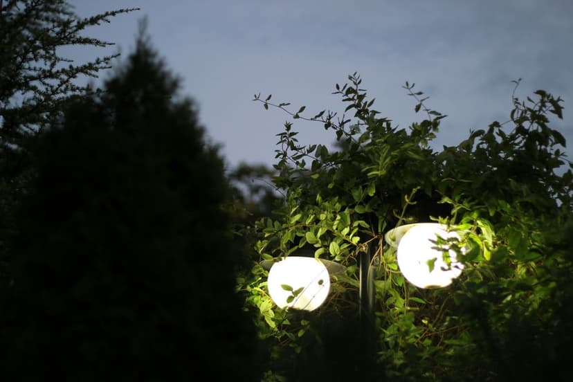 Garden lamp illuminated at dusk, surrounded by lush green foliage.