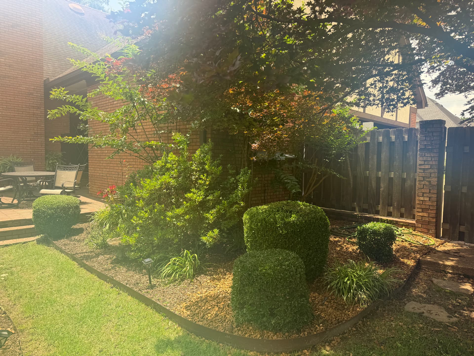 Gallery photos for Shrub Trimming Done Right in Humboldt: Image #4