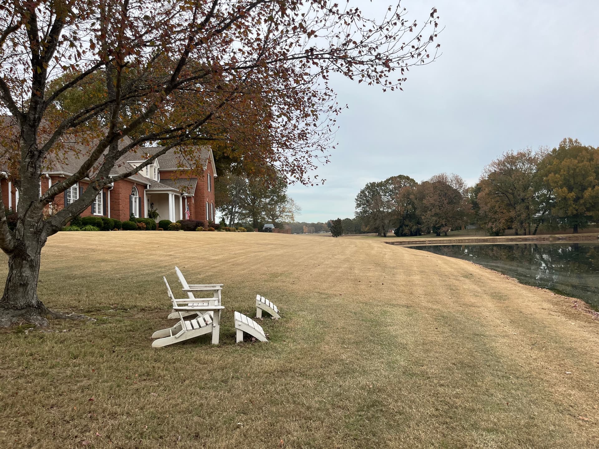 Gallery photos for Effortless Leaf Cleanup and Mulching for a Stunning Yard: Image #9