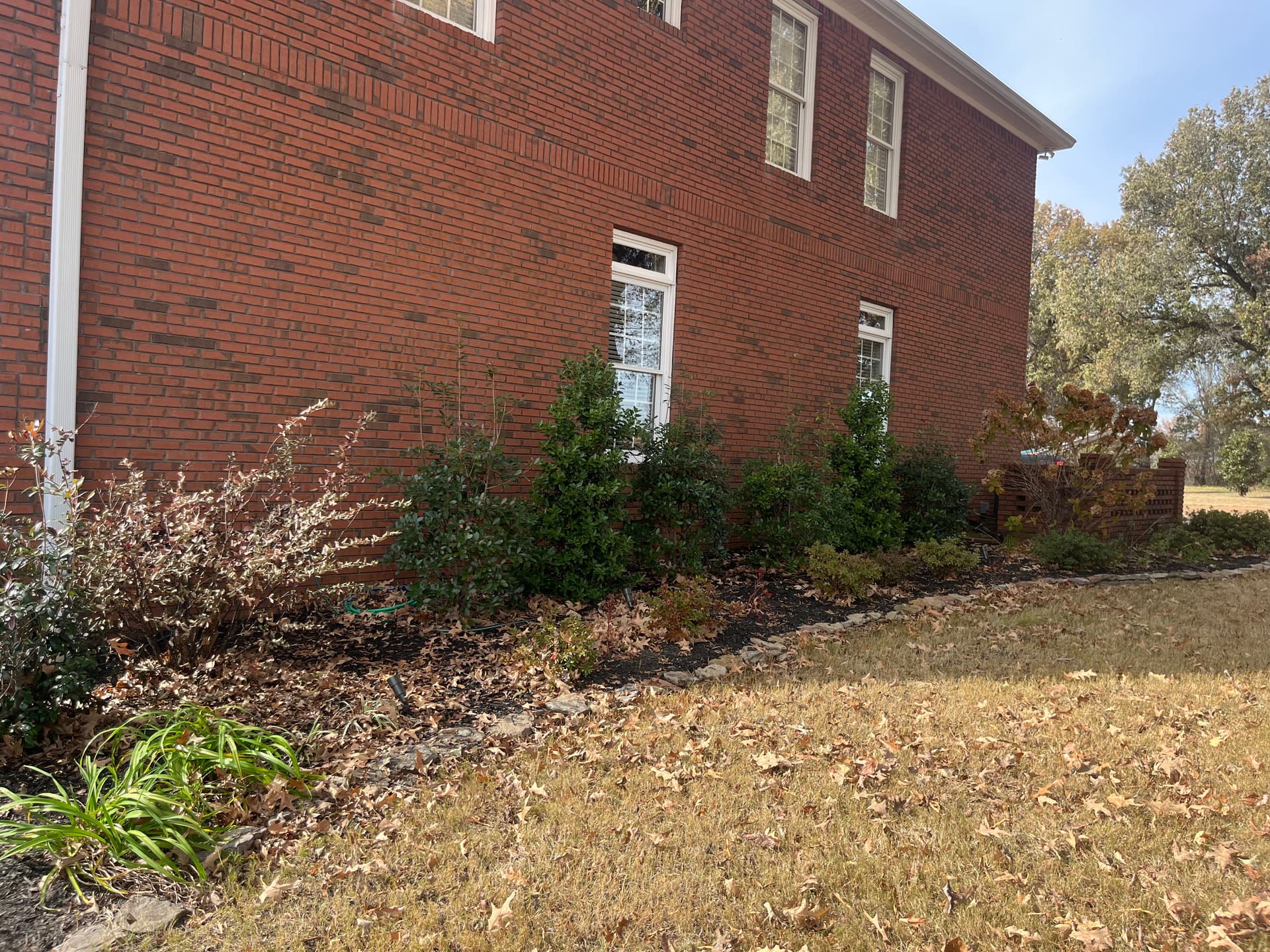 Gallery photos for Effortless Leaf Cleanup and Mulching for a Stunning Yard: Image #6