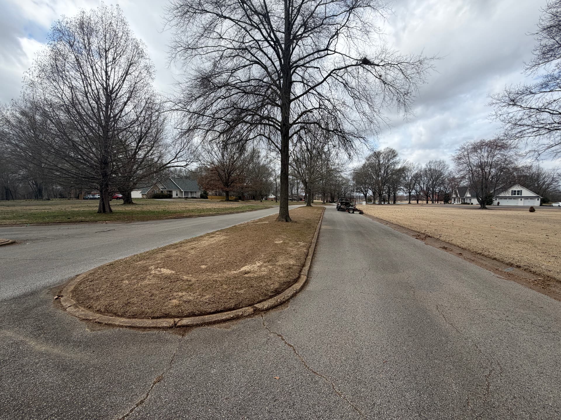 Gallery photos for Landscape Makeover in Forked Oak Subdivision: Image #1