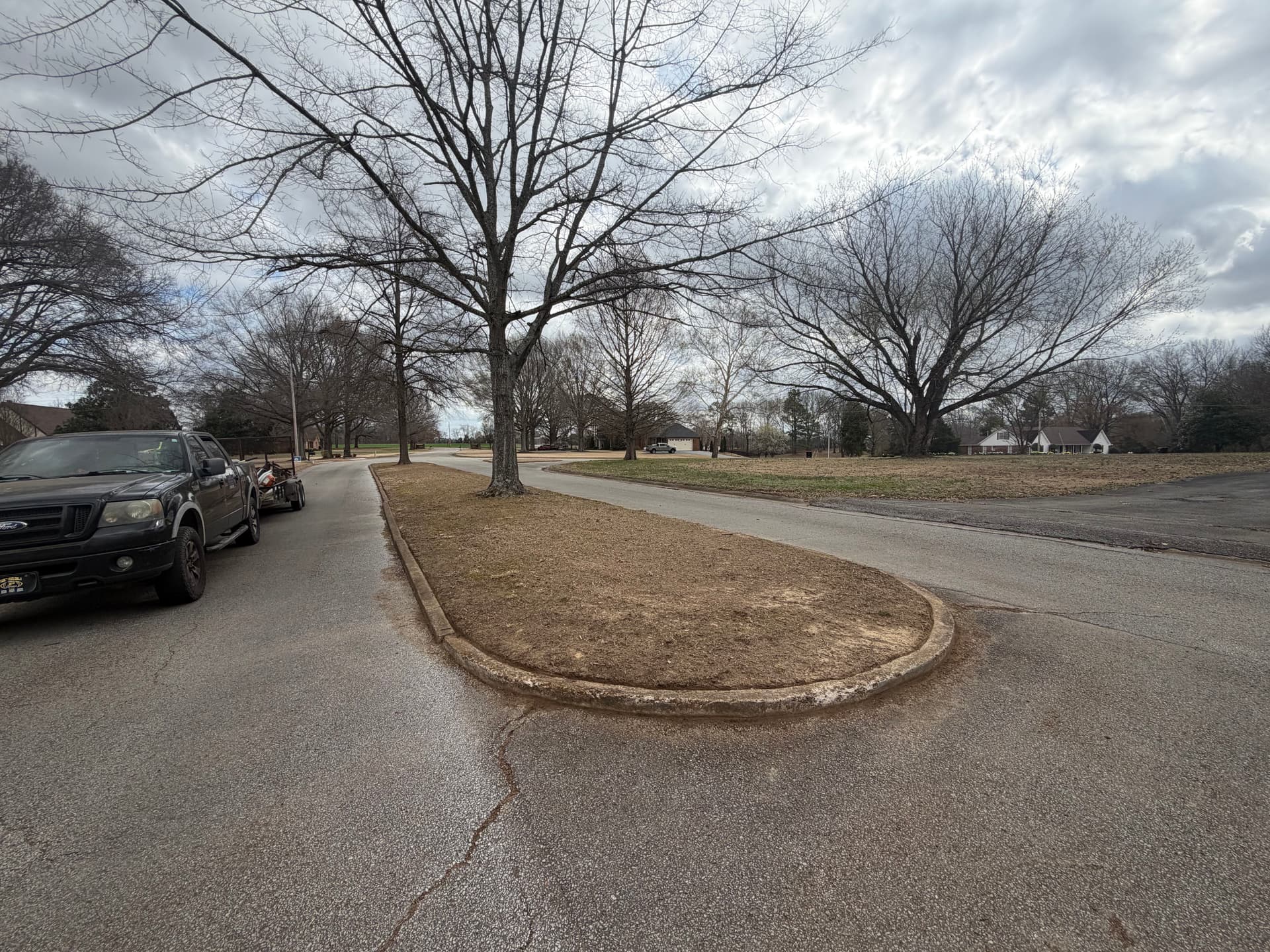 Gallery photos for Landscape Makeover in Forked Oak Subdivision: Image #3