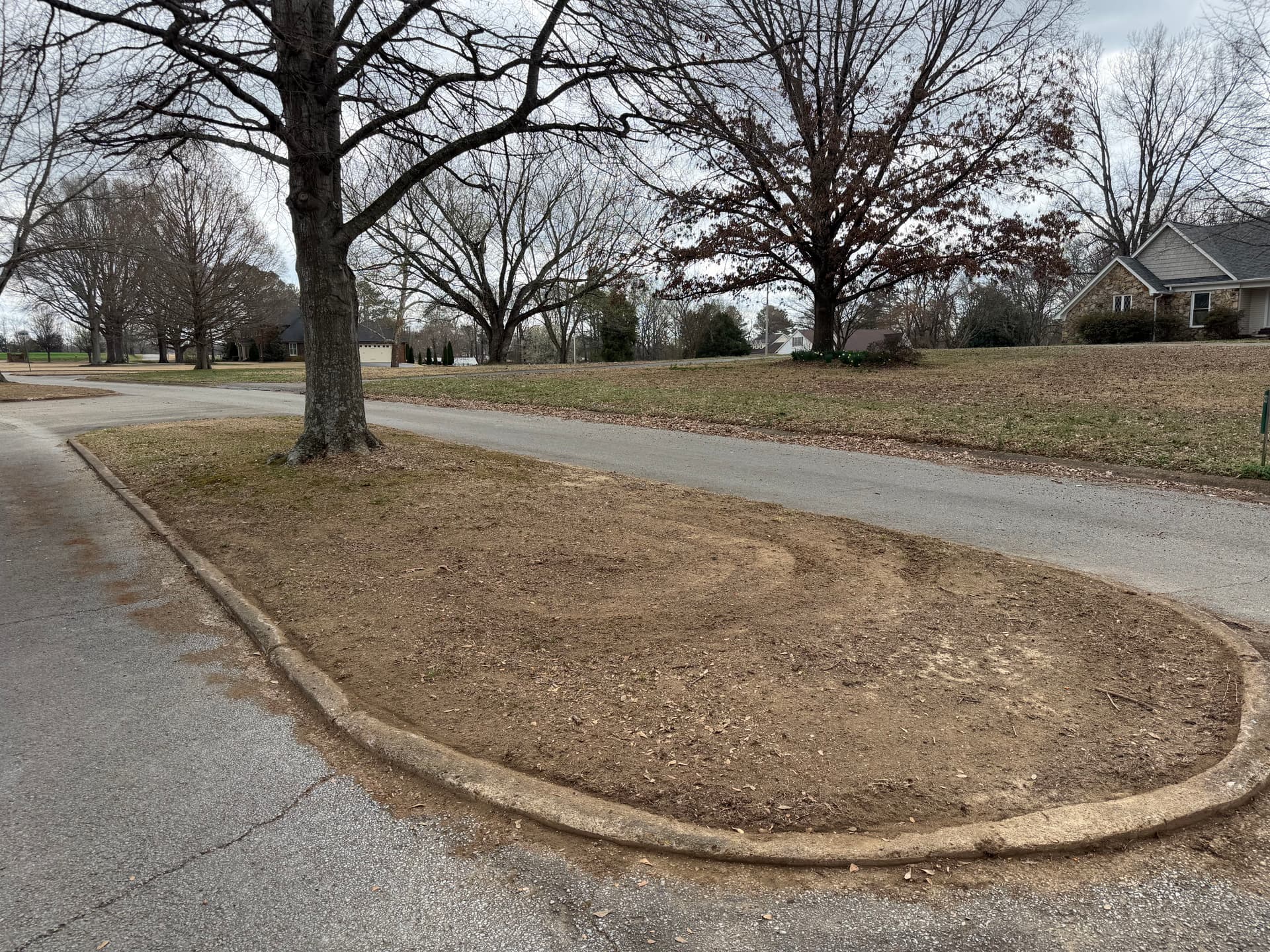 Gallery photos for Landscape Makeover in Forked Oak Subdivision: Image #5