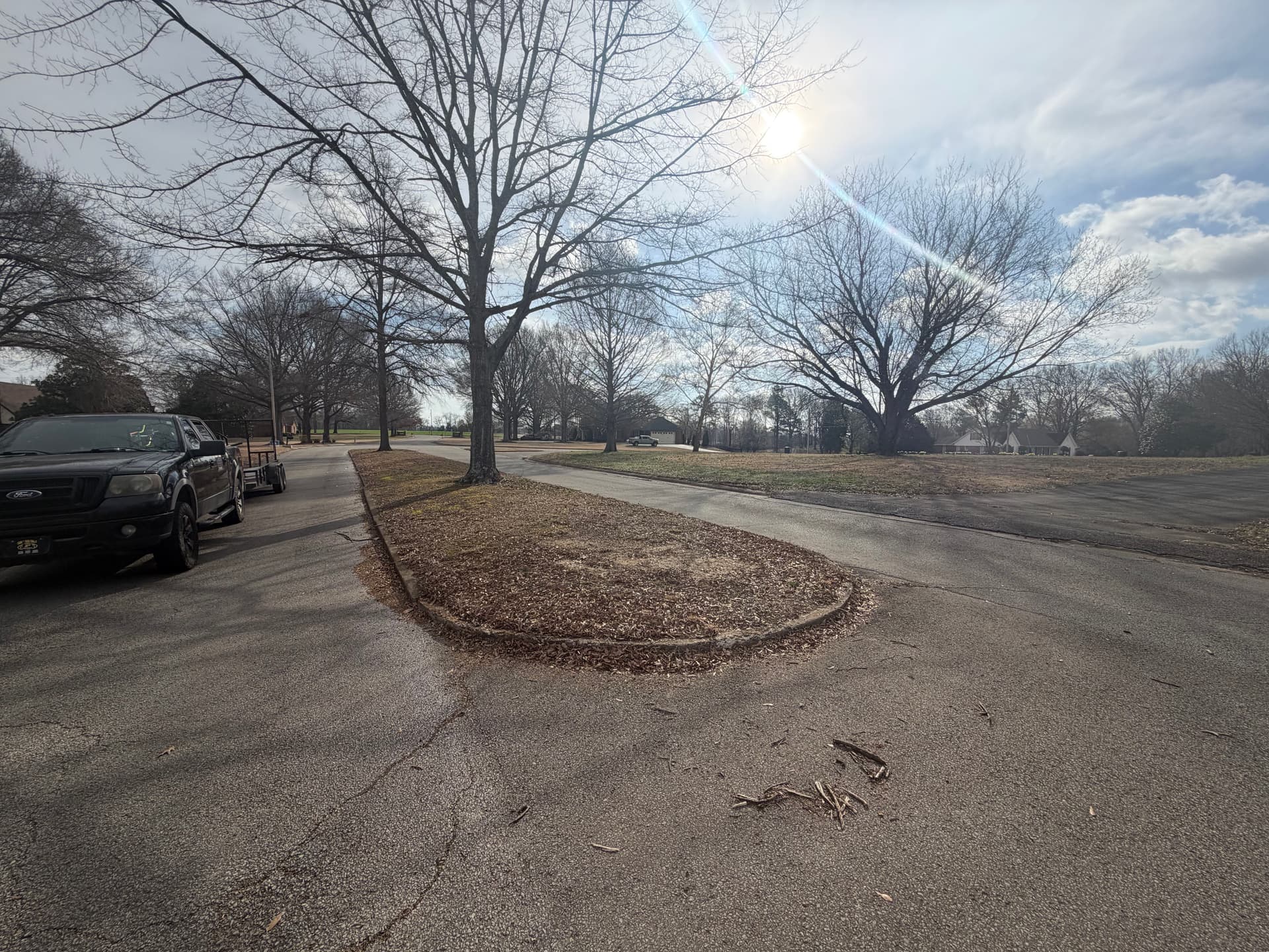 Gallery photos for Landscape Makeover in Forked Oak Subdivision: Image #2