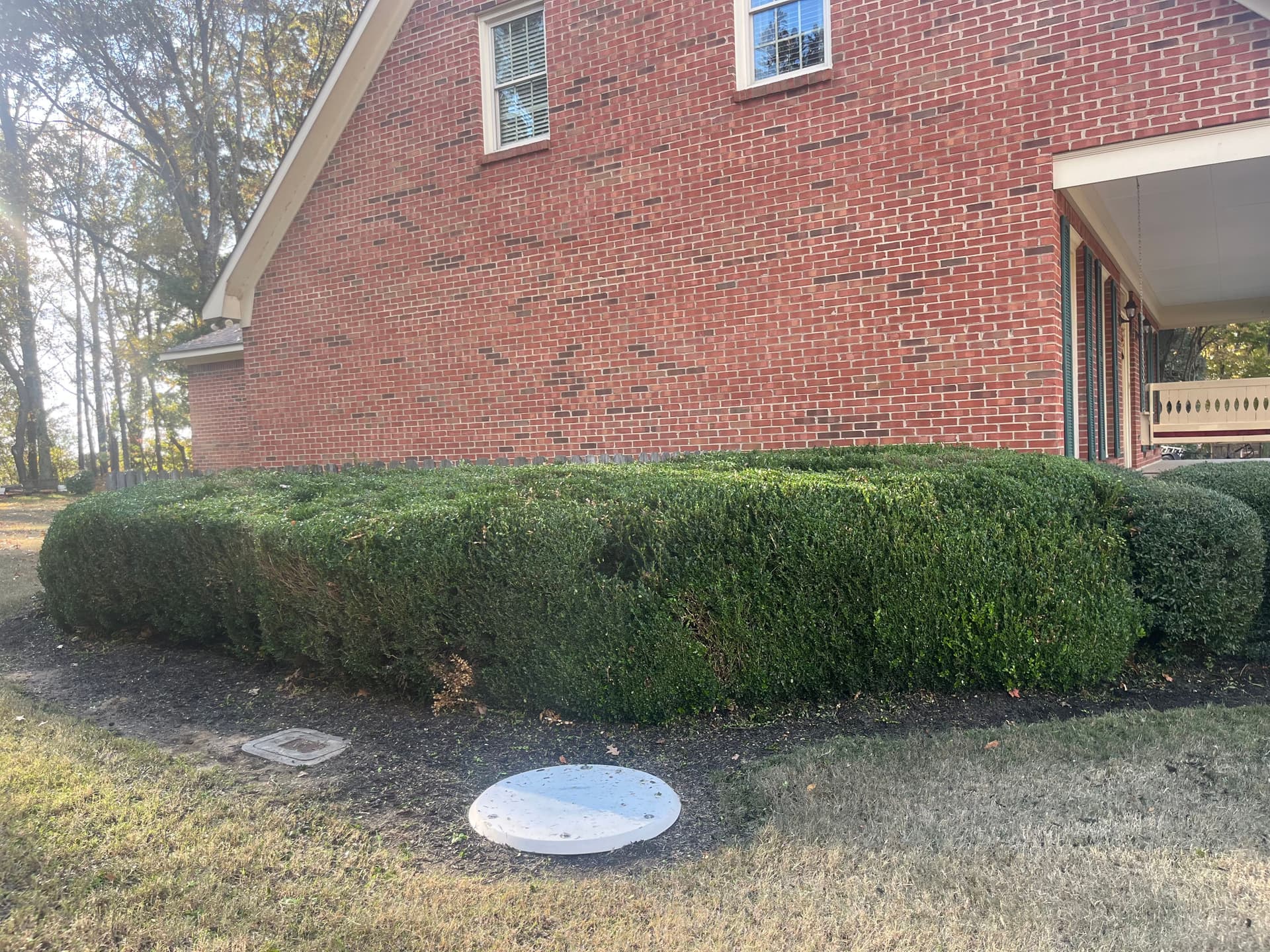 Gallery photos for Revamping Curb Appeal with Expert Trimming and Landscape Design: Image #7