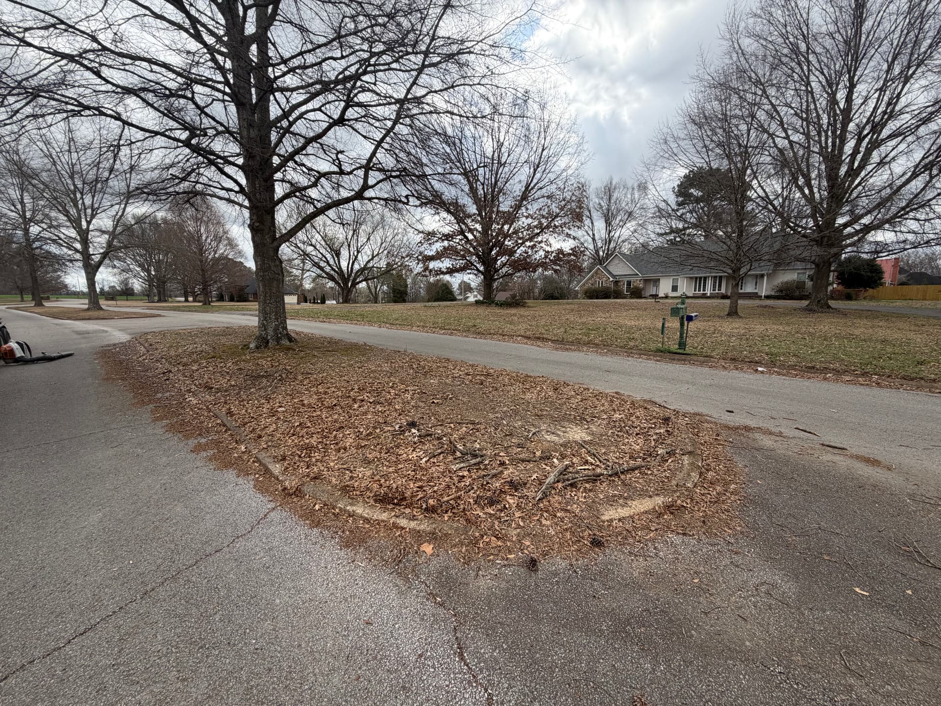 Gallery photos for Landscape Makeover in Forked Oak Subdivision: Image #4