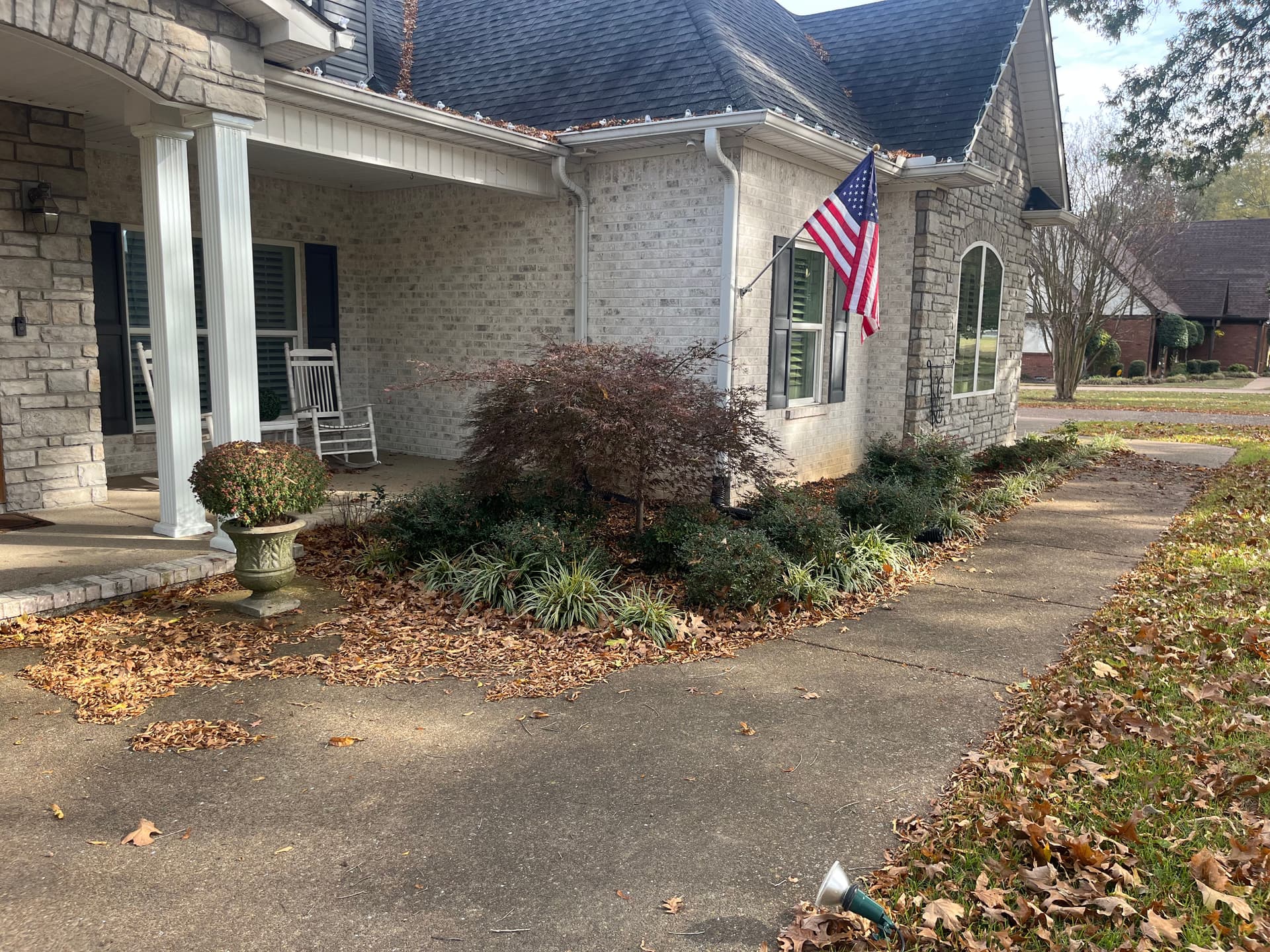 Gallery photos for Effortless Leaf Cleanup and Mulching for a Stunning Yard: Image #4