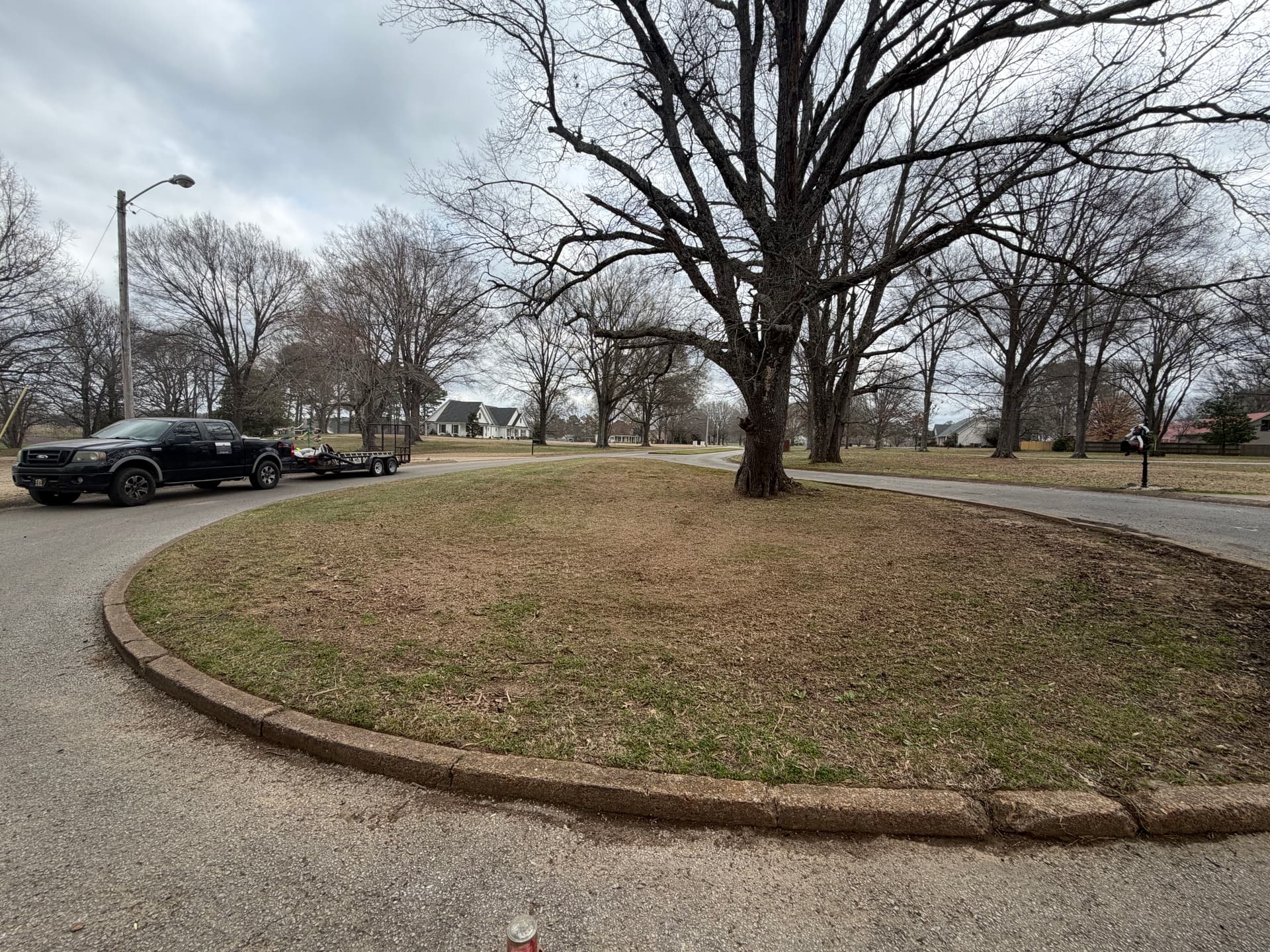 Gallery photos for Landscape Makeover in Forked Oak Subdivision: Image #8