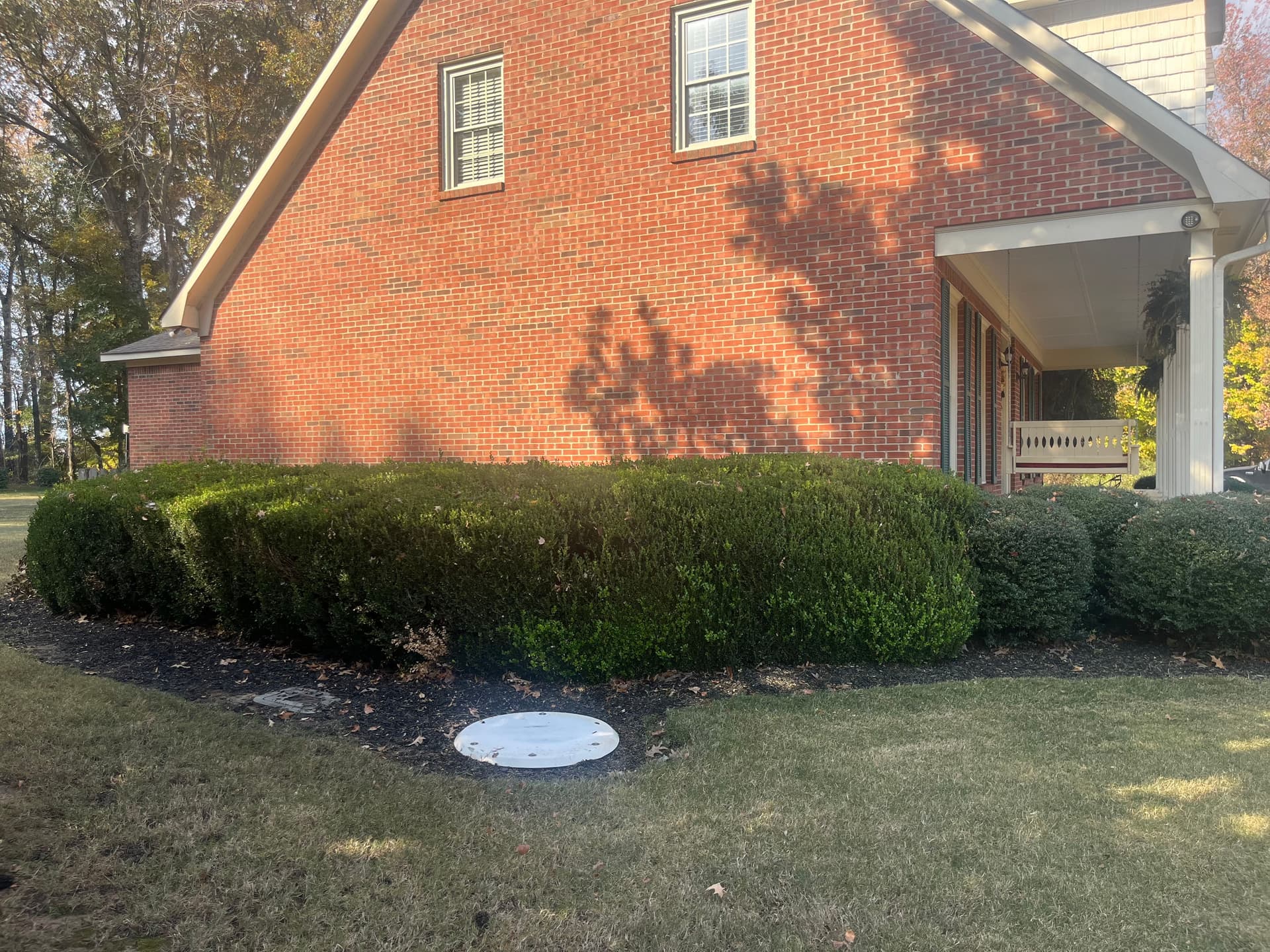 Gallery photos for Revamping Curb Appeal with Expert Trimming and Landscape Design: Image #6