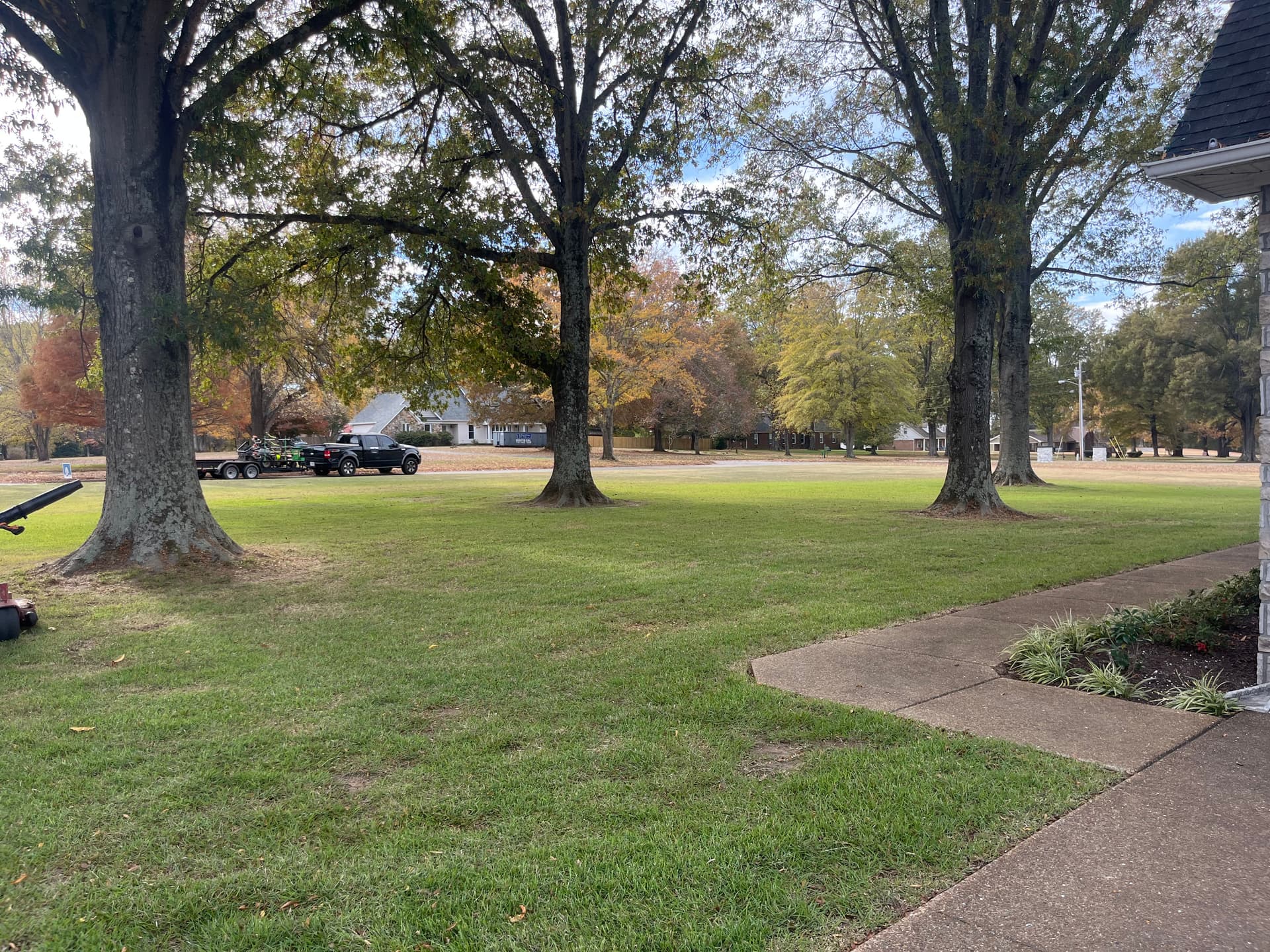 Gallery photos for Effortless Leaf Cleanup and Mulching for a Stunning Yard: Image #1