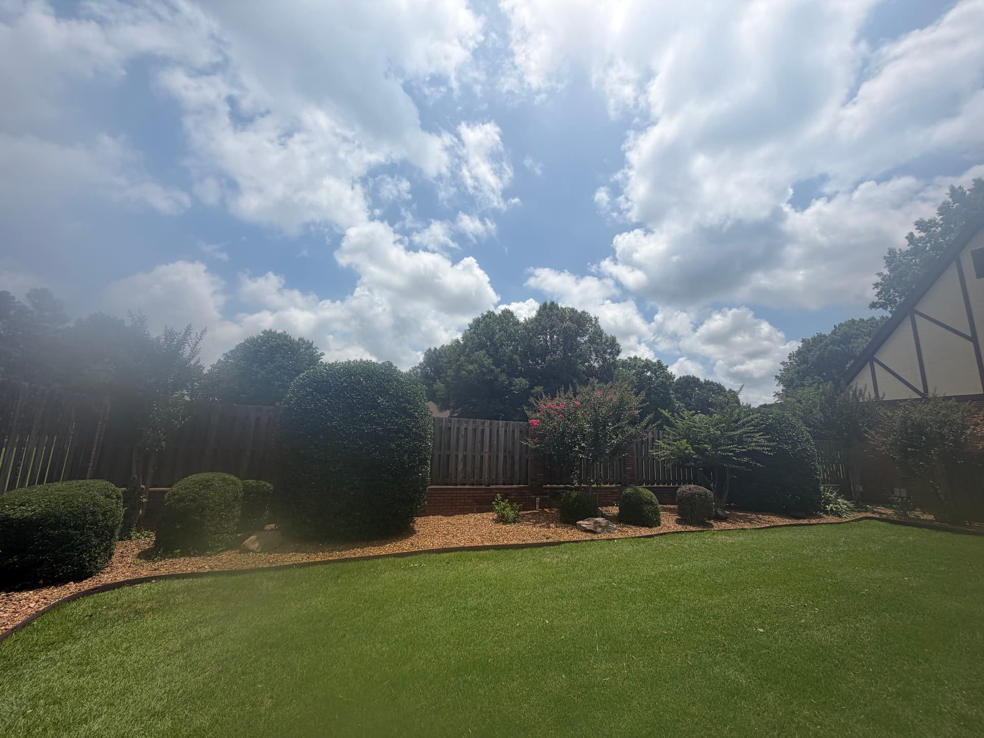 Gallery photos for Shrub Trimming Done Right in Humboldt: Image #5