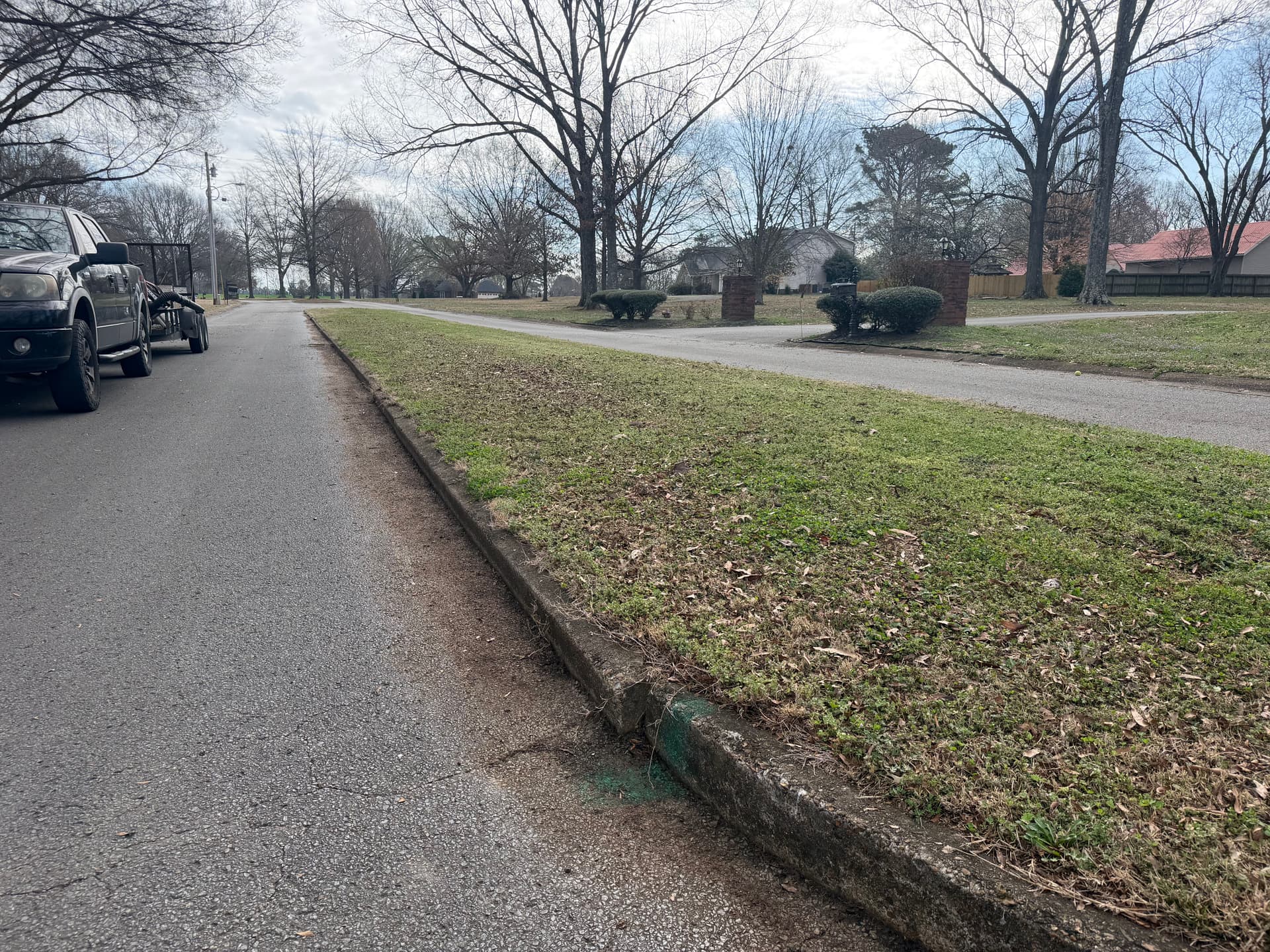 Gallery photos for Landscape Makeover in Forked Oak Subdivision: Image #6