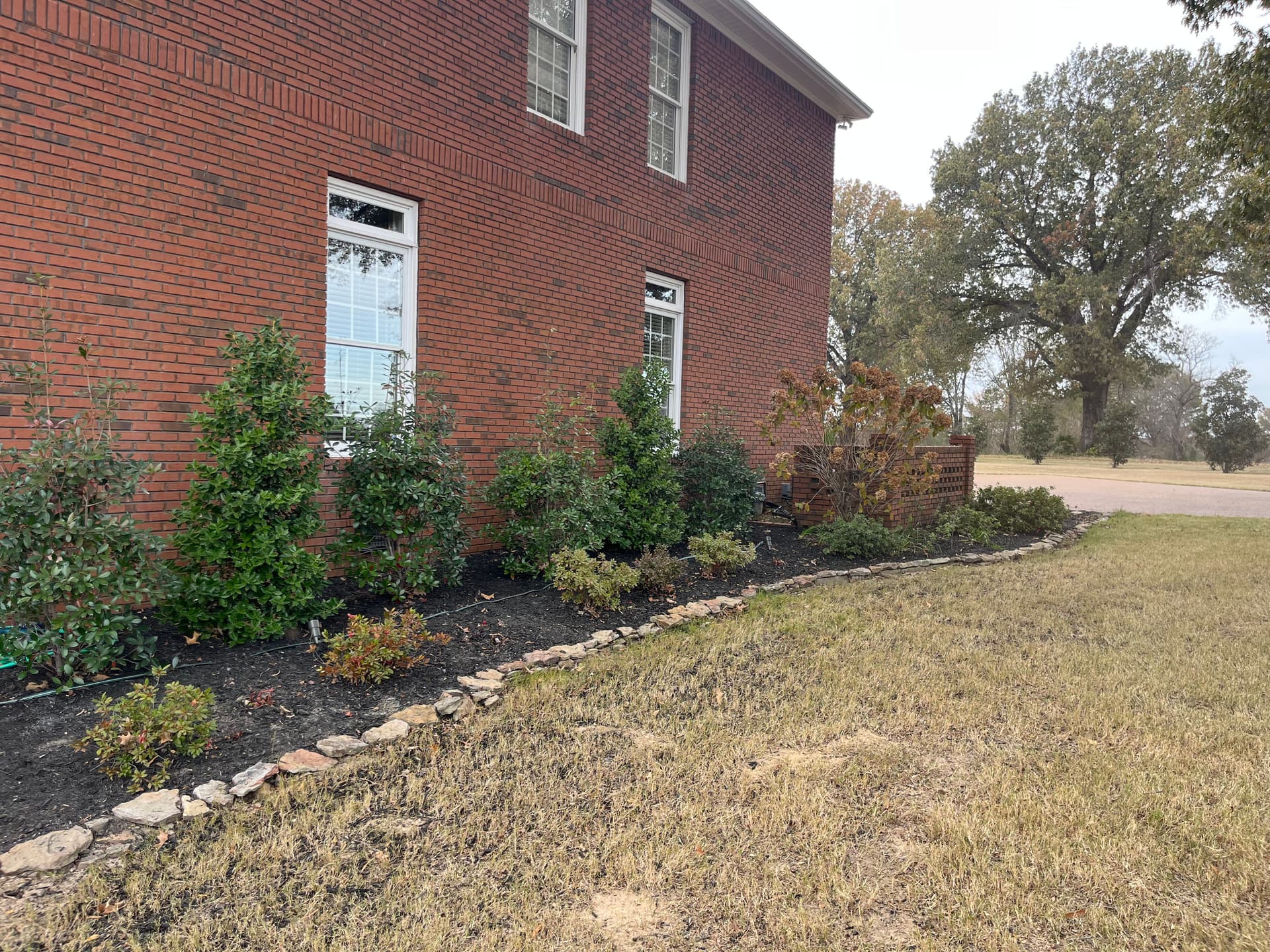 Gallery photos for Effortless Leaf Cleanup and Mulching for a Stunning Yard: Image #7