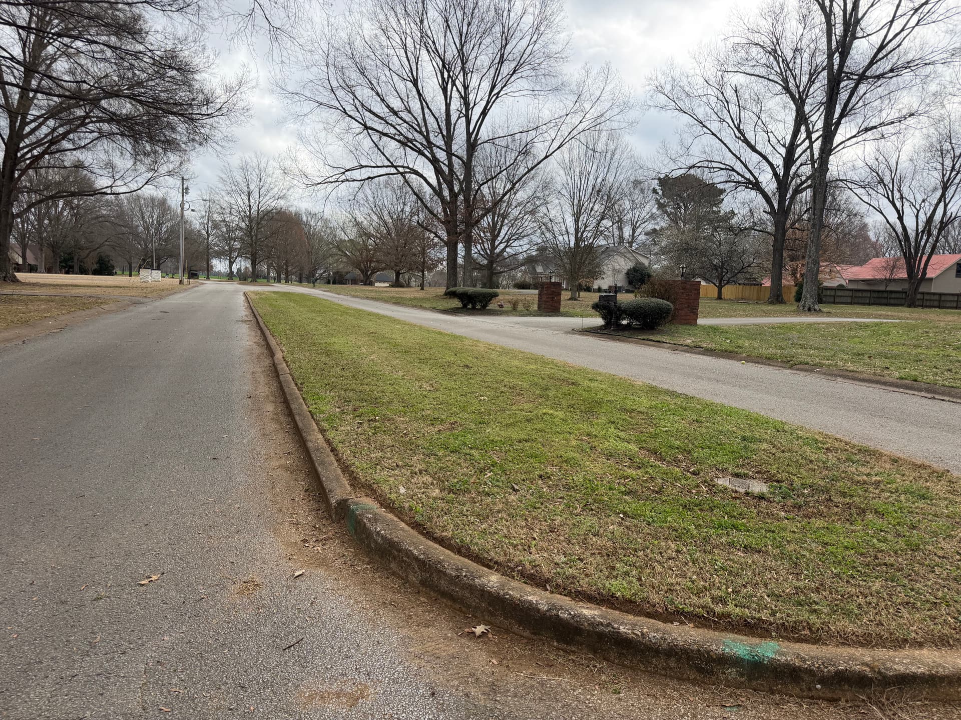 Gallery photos for Landscape Makeover in Forked Oak Subdivision: Image #7