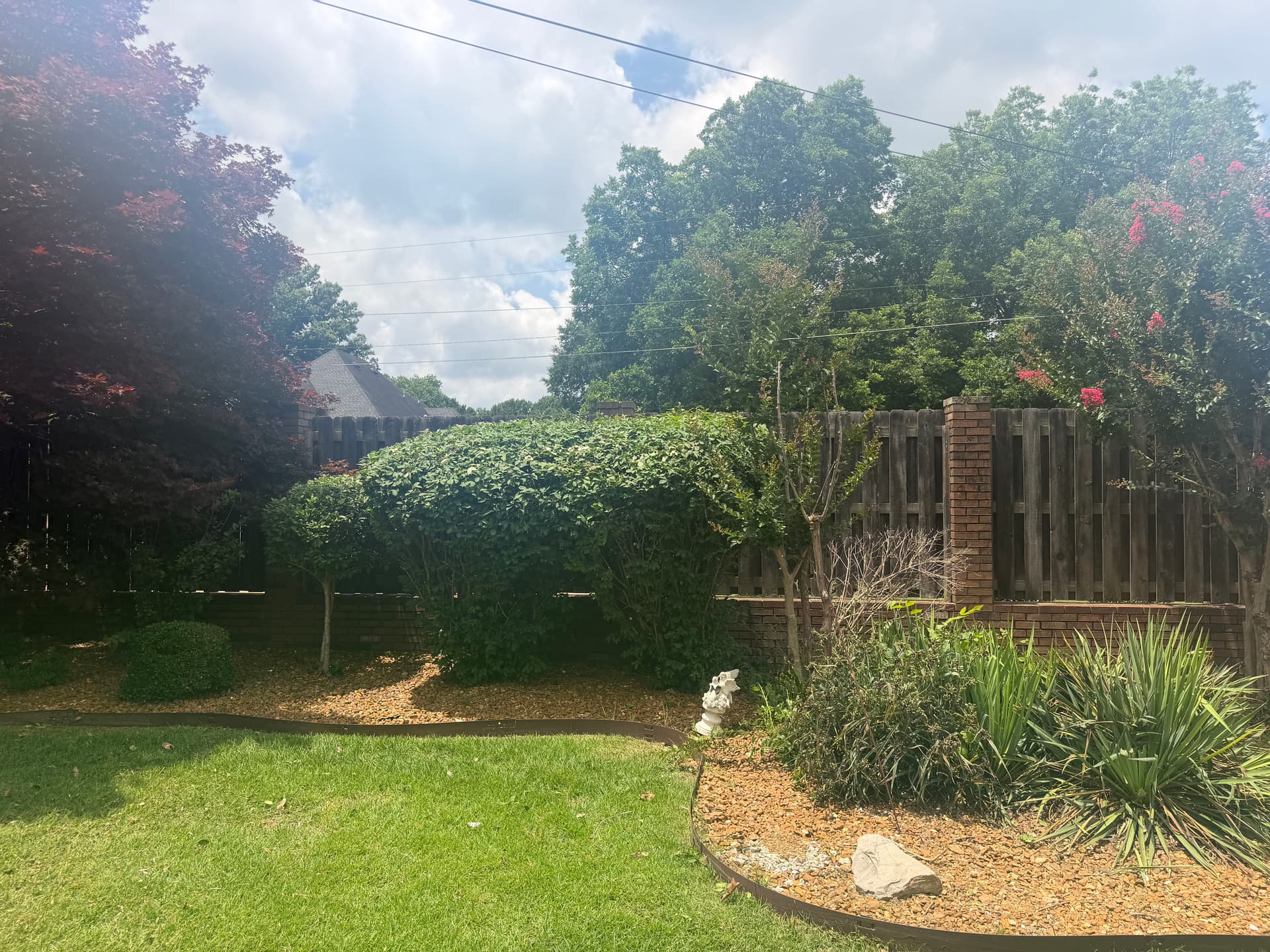 Gallery photos for Shrub Trimming Done Right in Humboldt: Image #6
