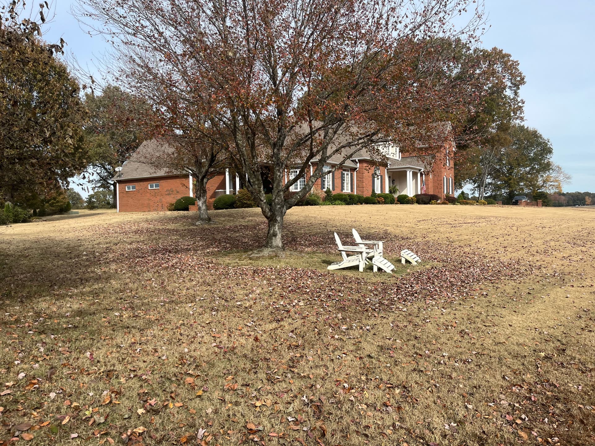 Gallery photos for Effortless Leaf Cleanup and Mulching for a Stunning Yard: Image #8