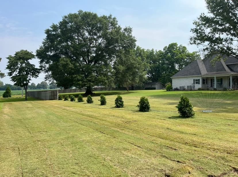 Lush green lawn with neatly trimmed shrubs and a residential home under a clear sky.