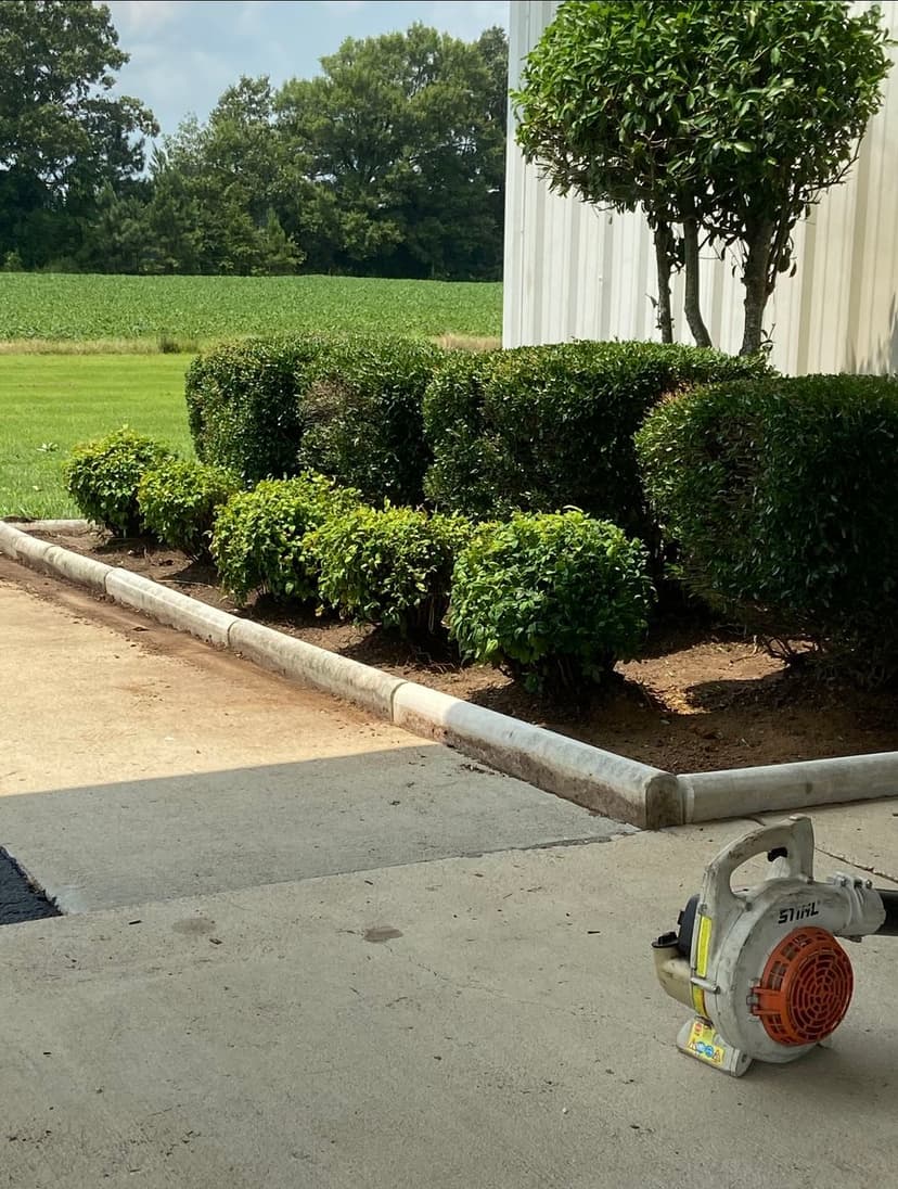 Landscaping scene with neatly trimmed bushes and a leaf blower on a concrete pathway.