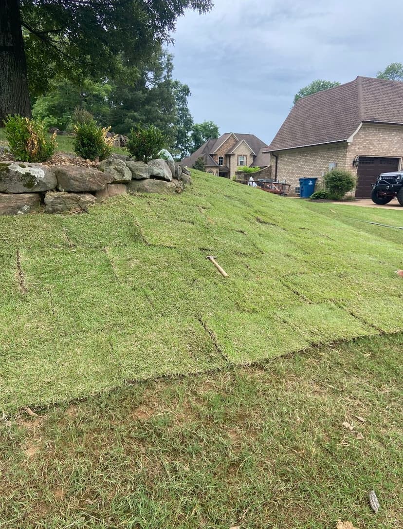 Newly installed sod on a sloped residential yard with stone border and nearby homes.